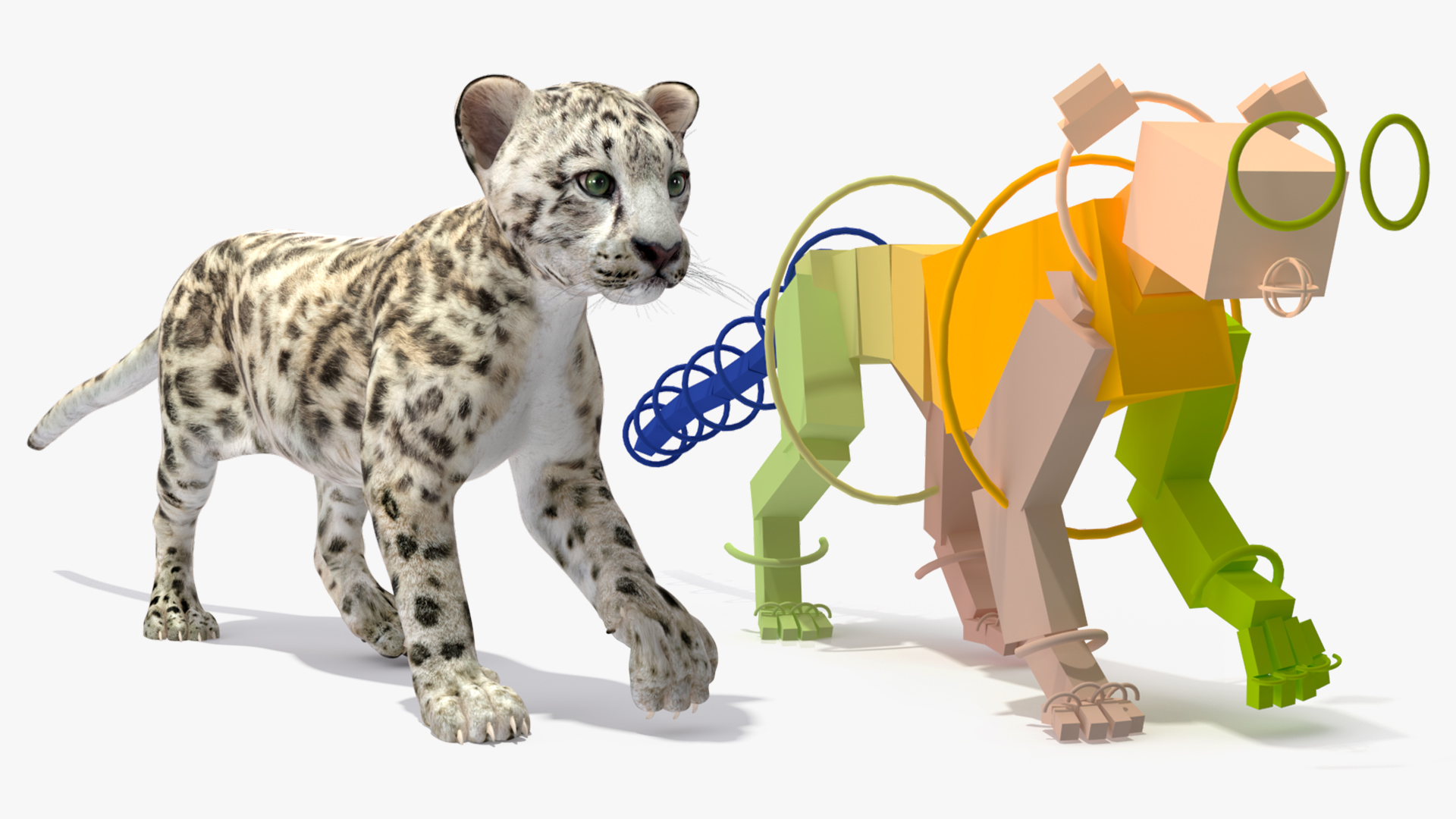 3D Snow Leopard Cub Rigged model