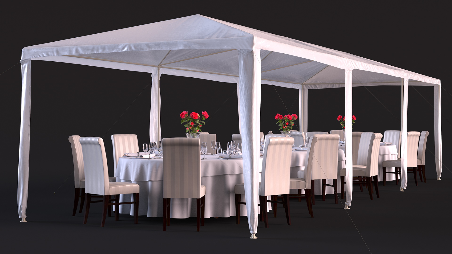 3D Party Wedding Outdoor Patio Tent with Served Tables