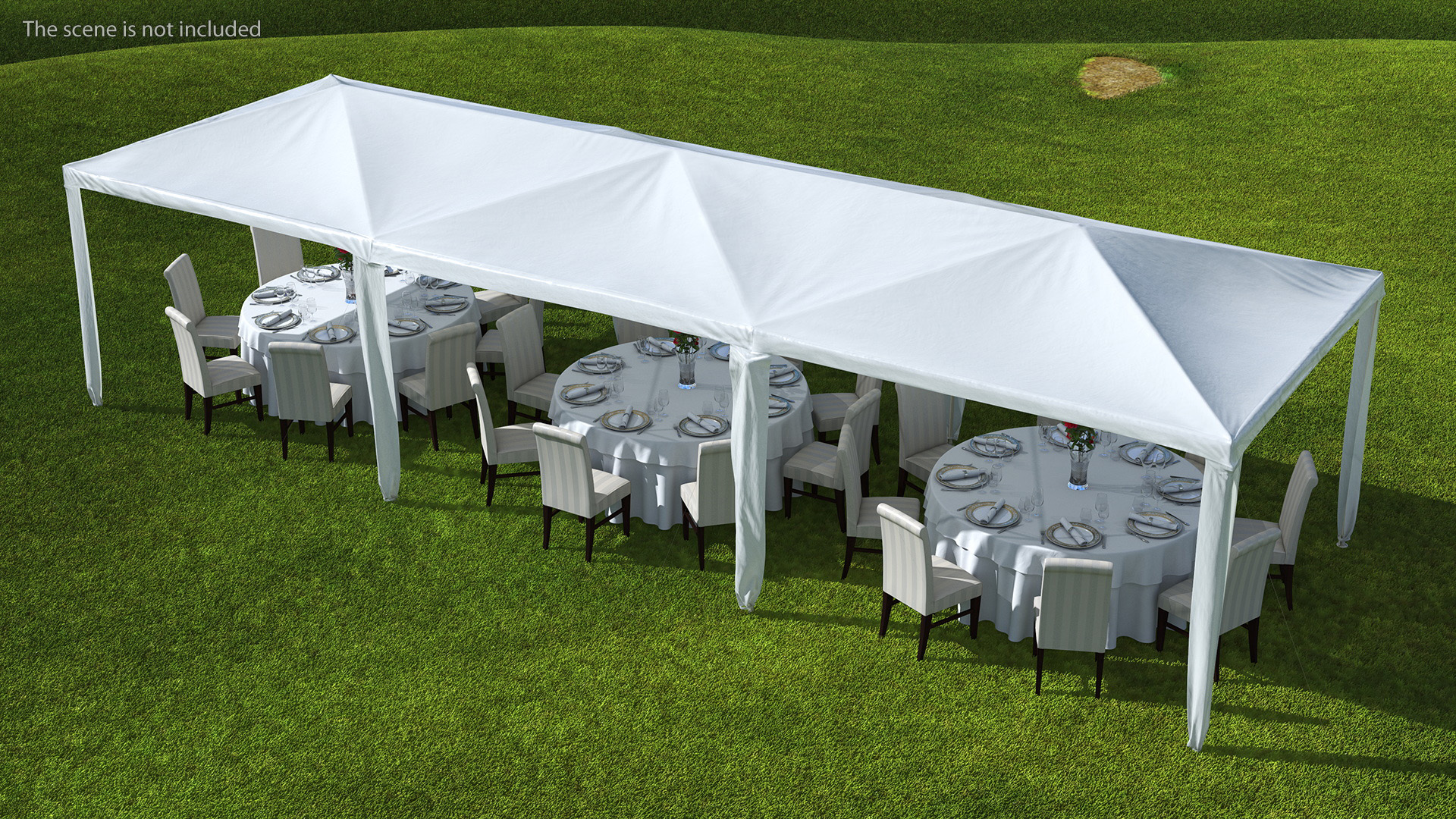 3D Party Wedding Outdoor Patio Tent with Served Tables