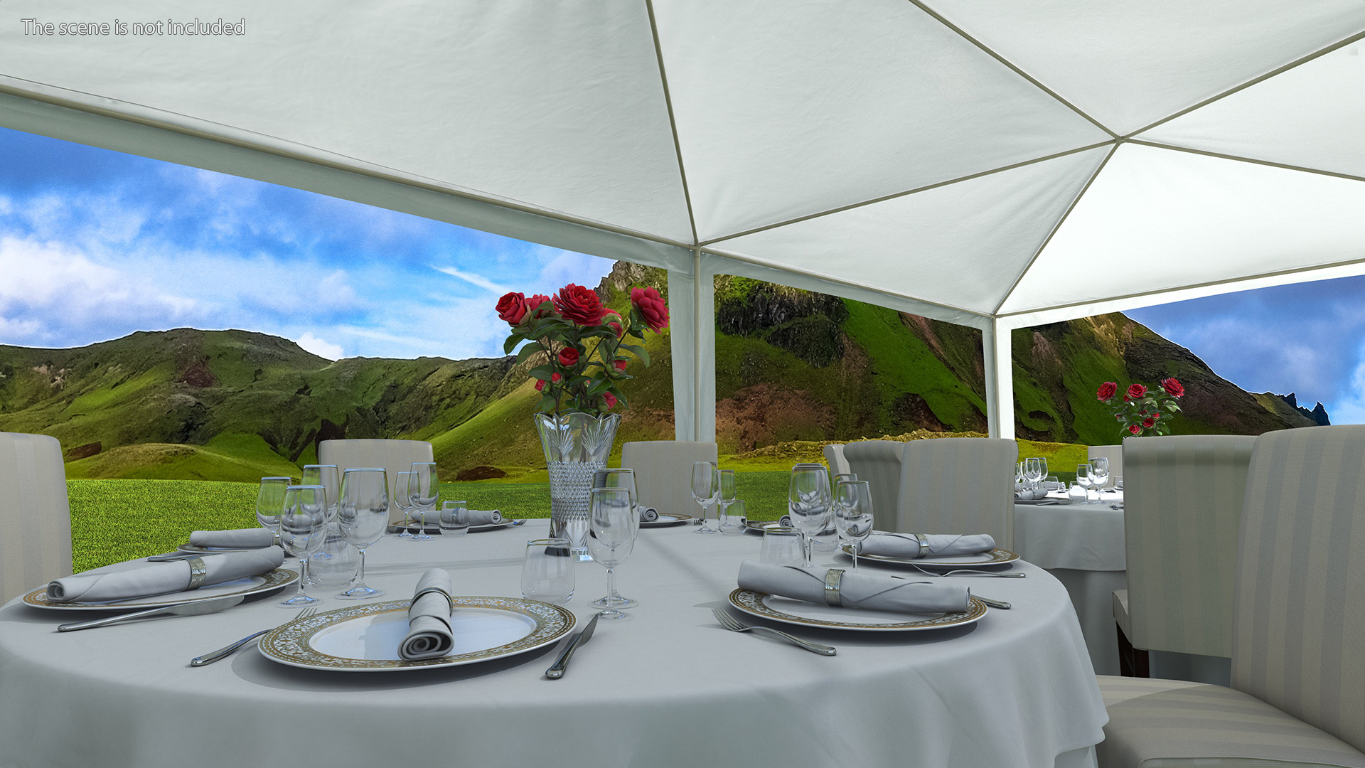 3D Party Wedding Outdoor Patio Tent with Served Tables