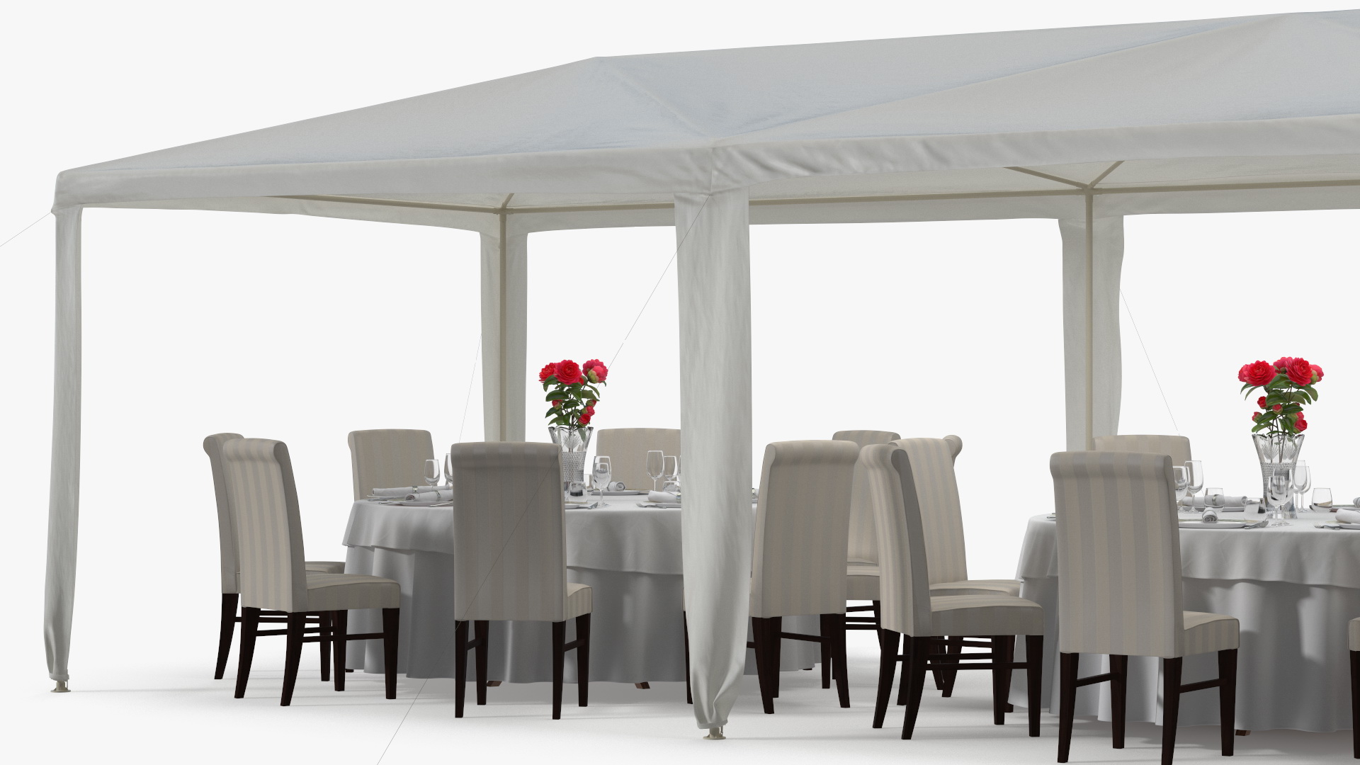 3D Party Wedding Outdoor Patio Tent with Served Tables