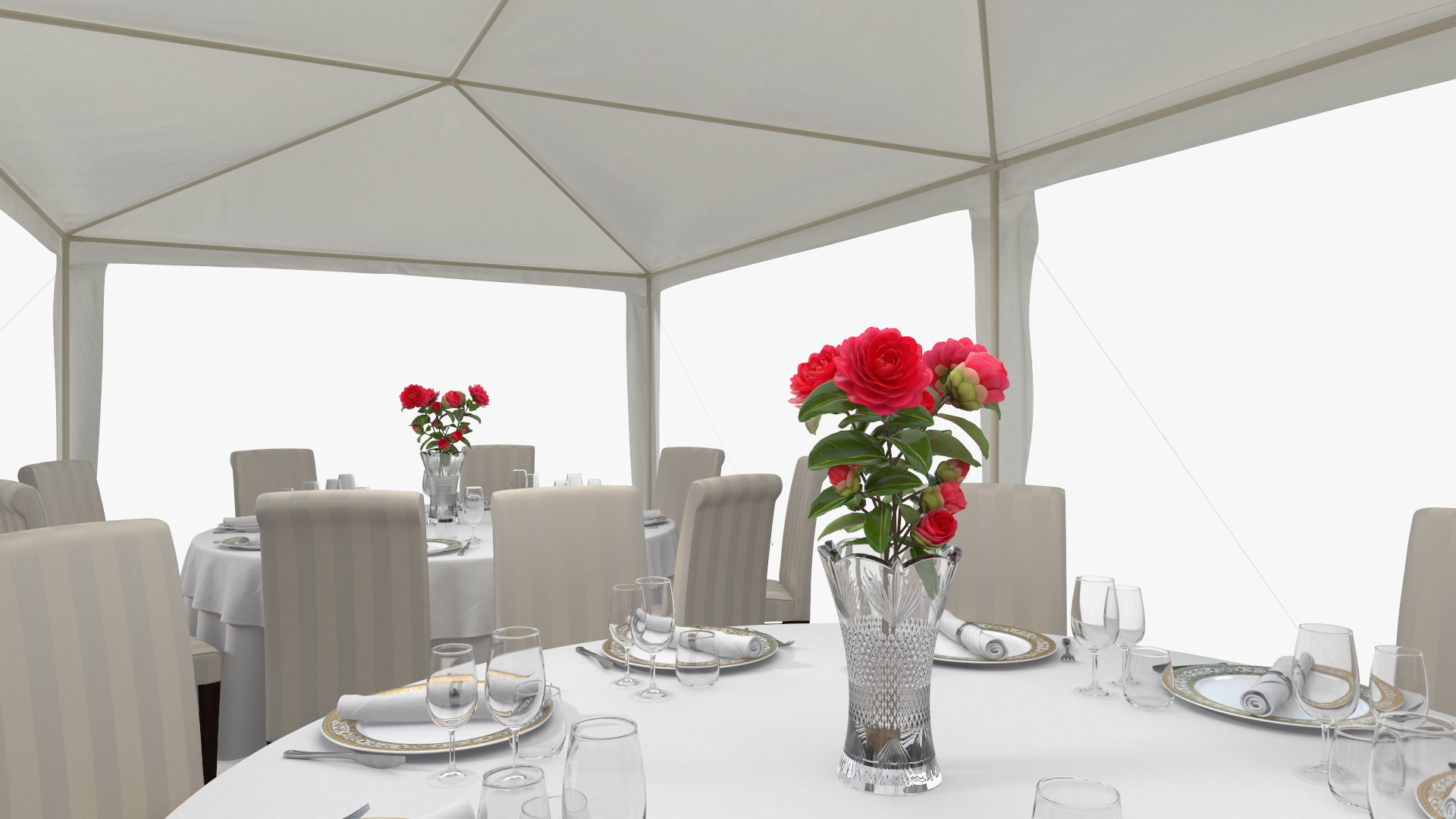 3D Party Wedding Outdoor Patio Tent with Served Tables