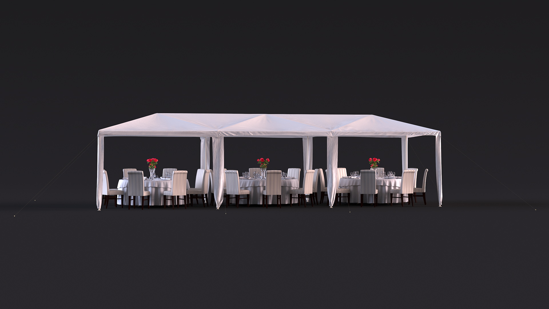 3D Party Wedding Outdoor Patio Tent with Served Tables