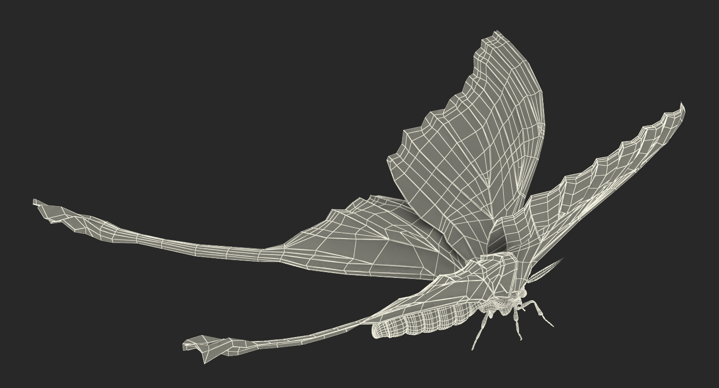 Madagascan Moon Moth with Fur 3D model