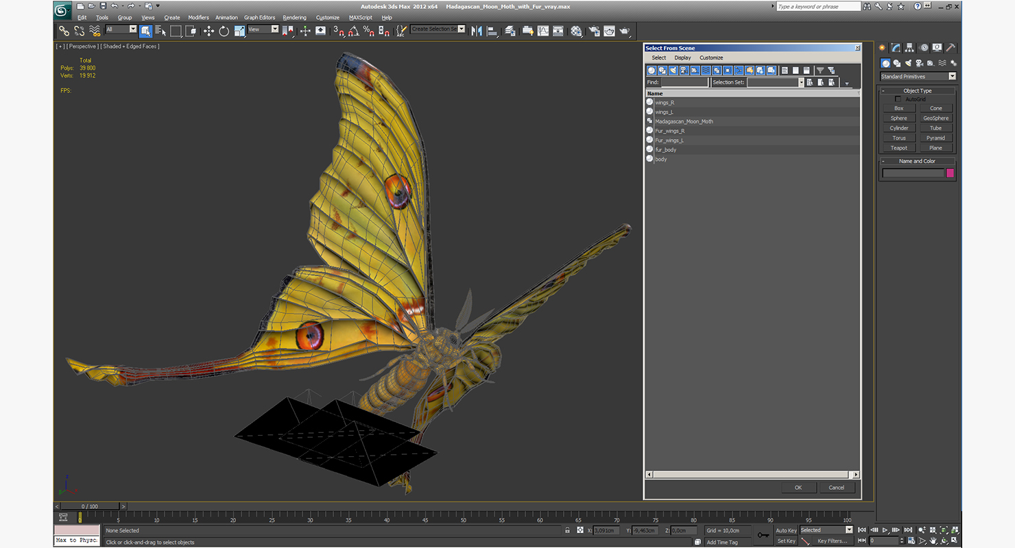 Madagascan Moon Moth with Fur 3D model