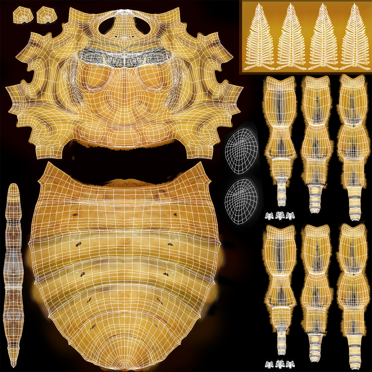 Madagascan Moon Moth with Fur 3D model