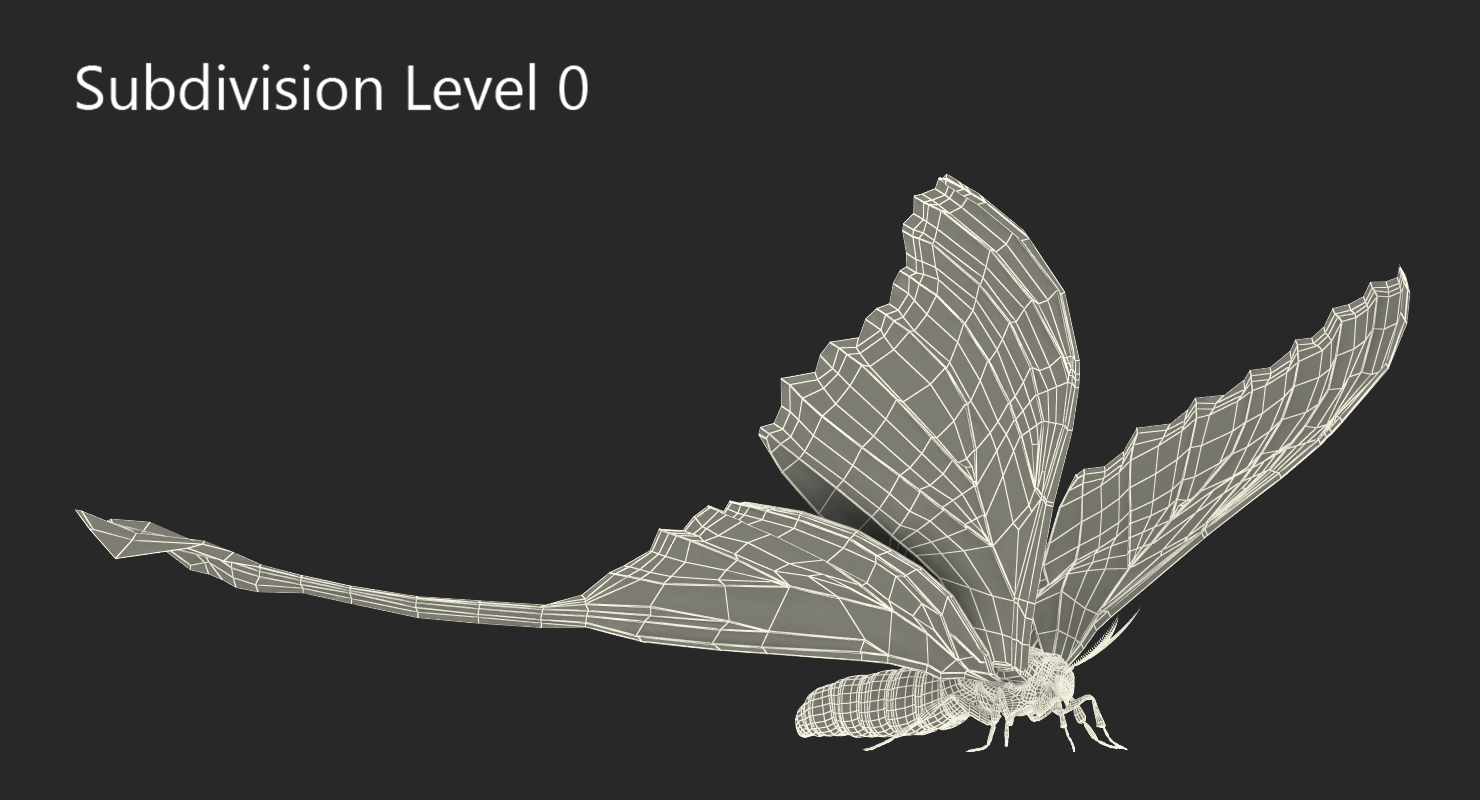 Madagascan Moon Moth with Fur 3D model