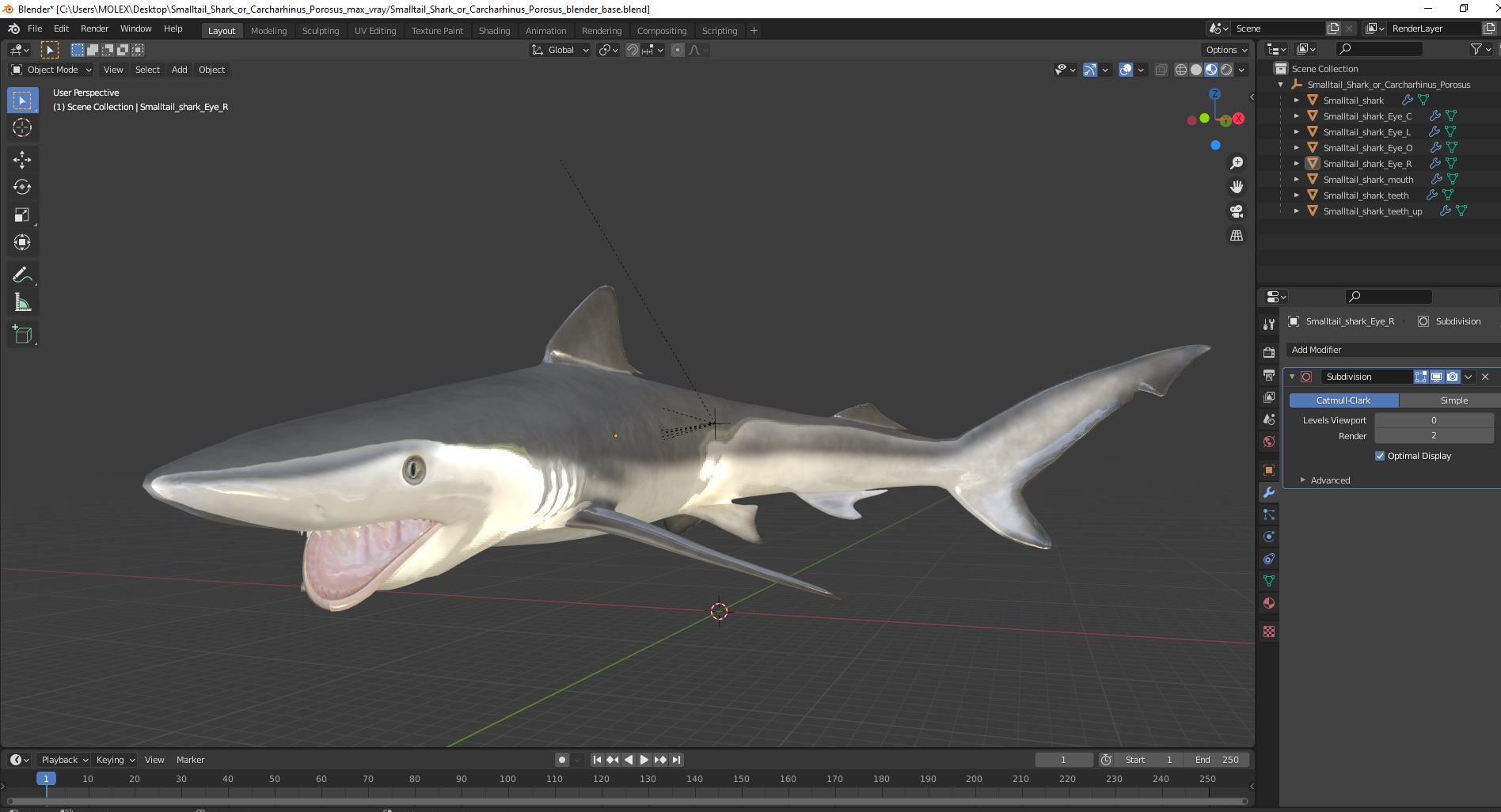 Smalltail Shark or Carcharhinus Porosus 3D model