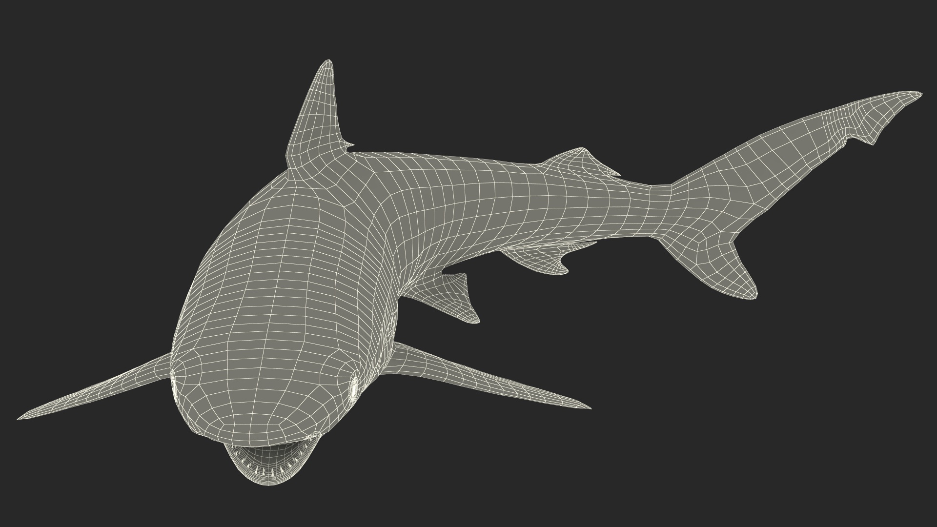 Smalltail Shark or Carcharhinus Porosus 3D model