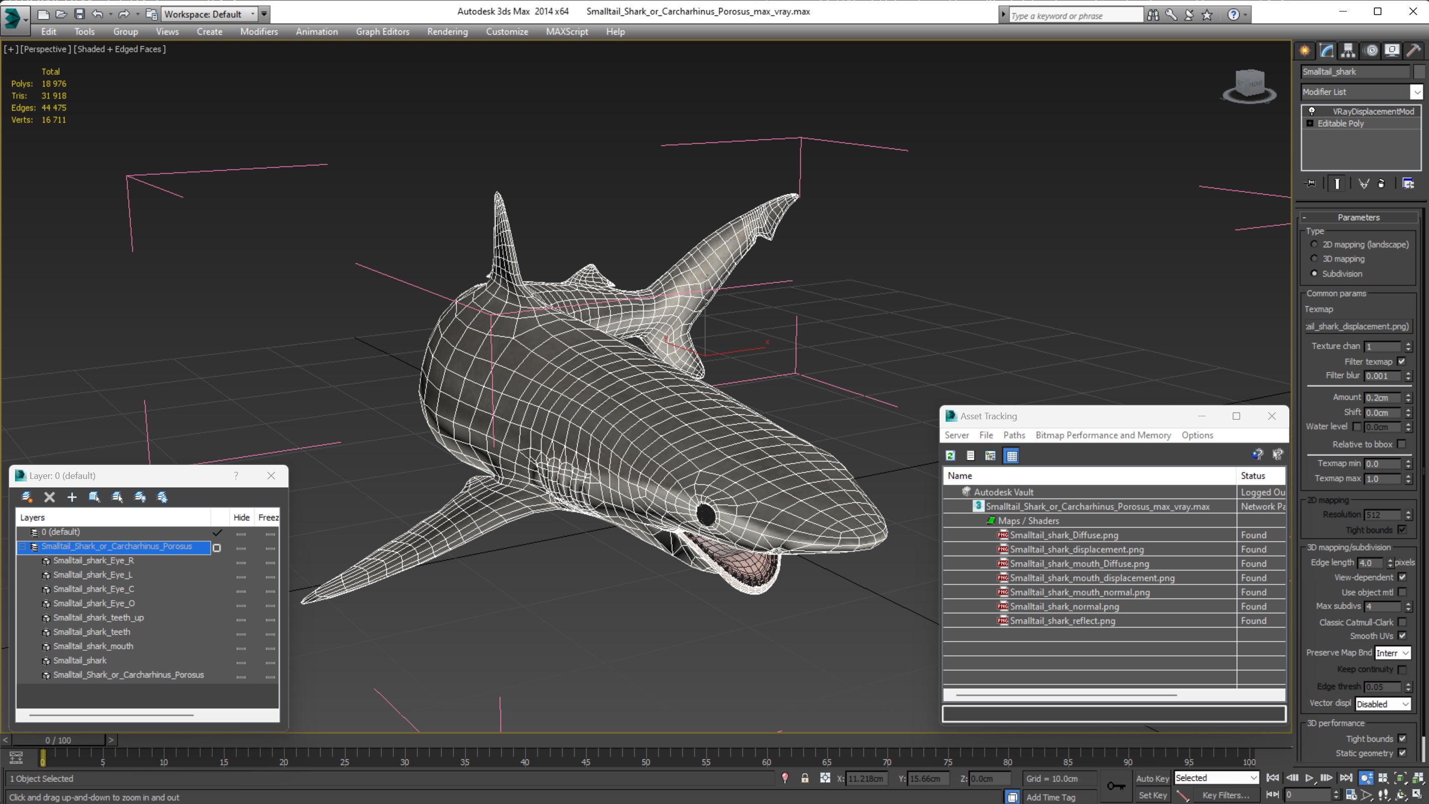 Smalltail Shark or Carcharhinus Porosus 3D model