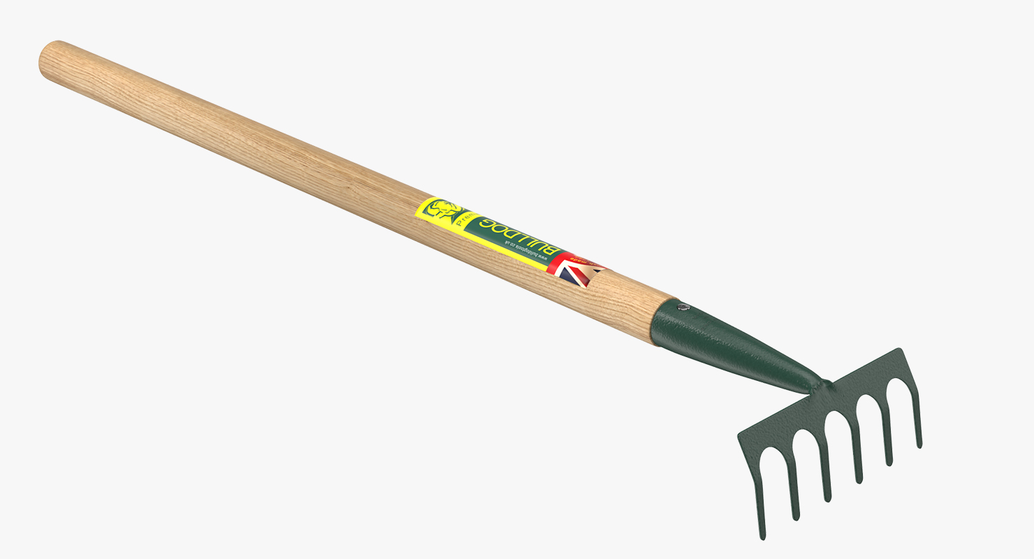 3D Childrens Junior Rake