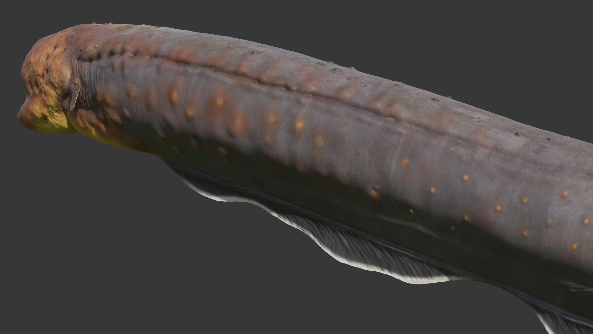 Electric Eel Attack Pose 3D model