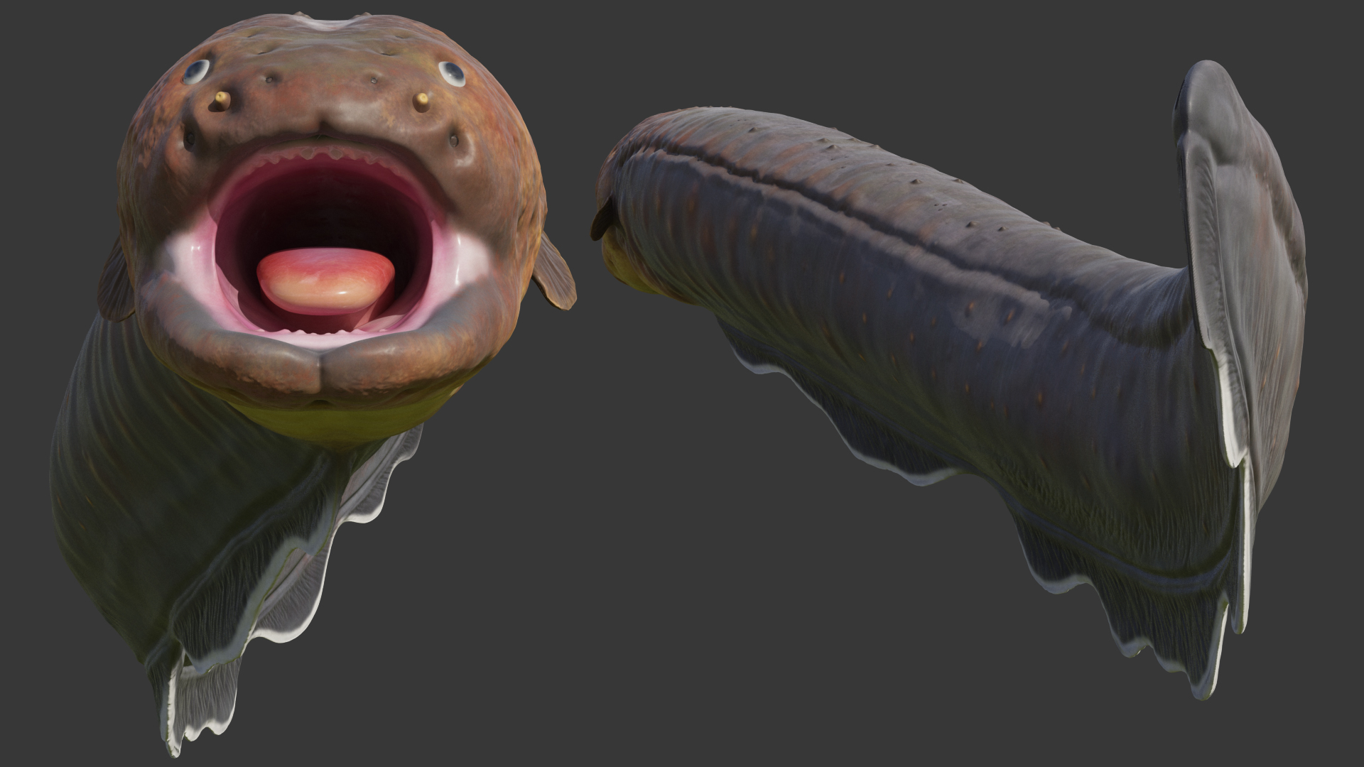 Electric Eel Attack Pose 3D model