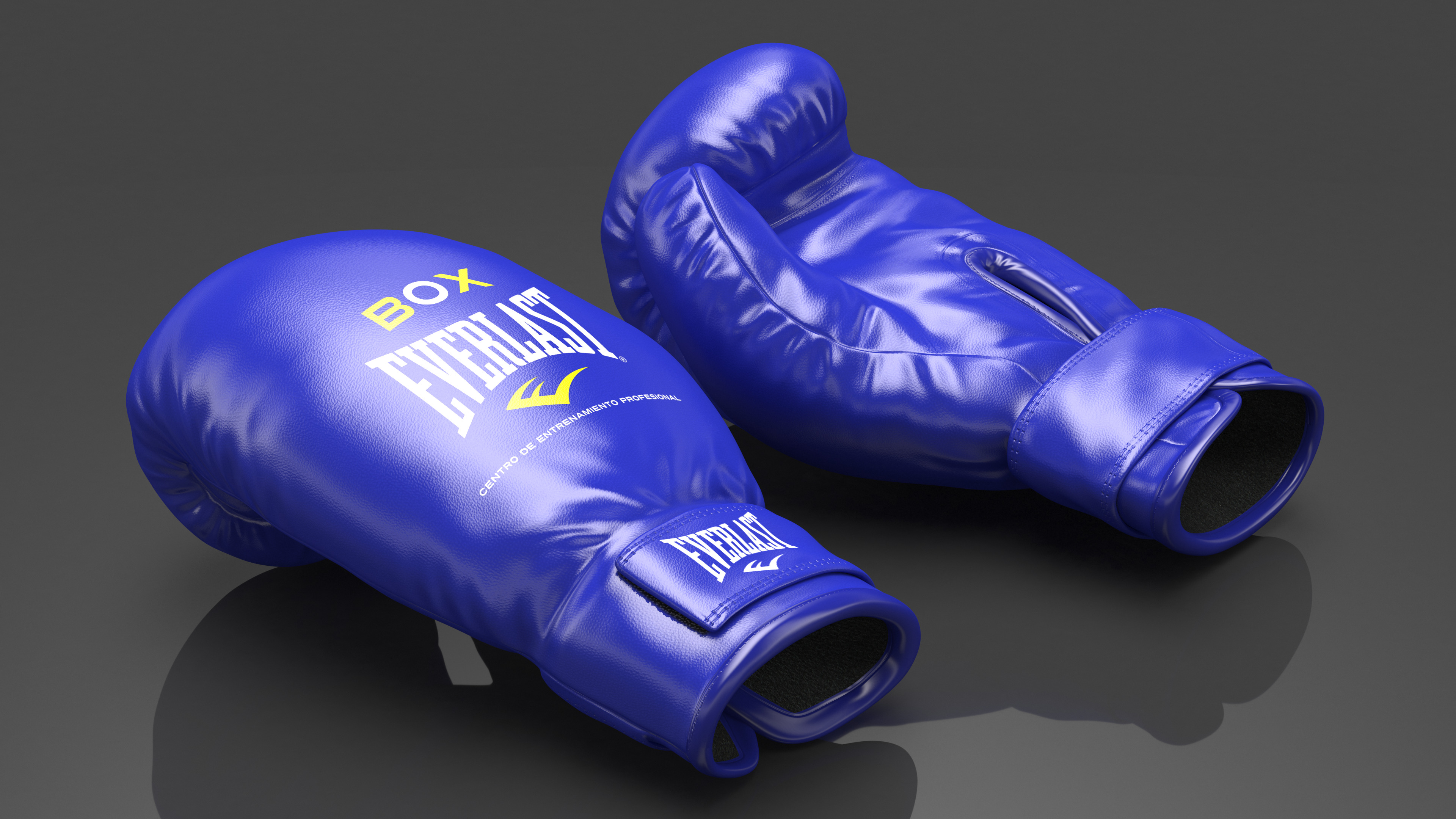 Everlast Boxing Gloves 3D