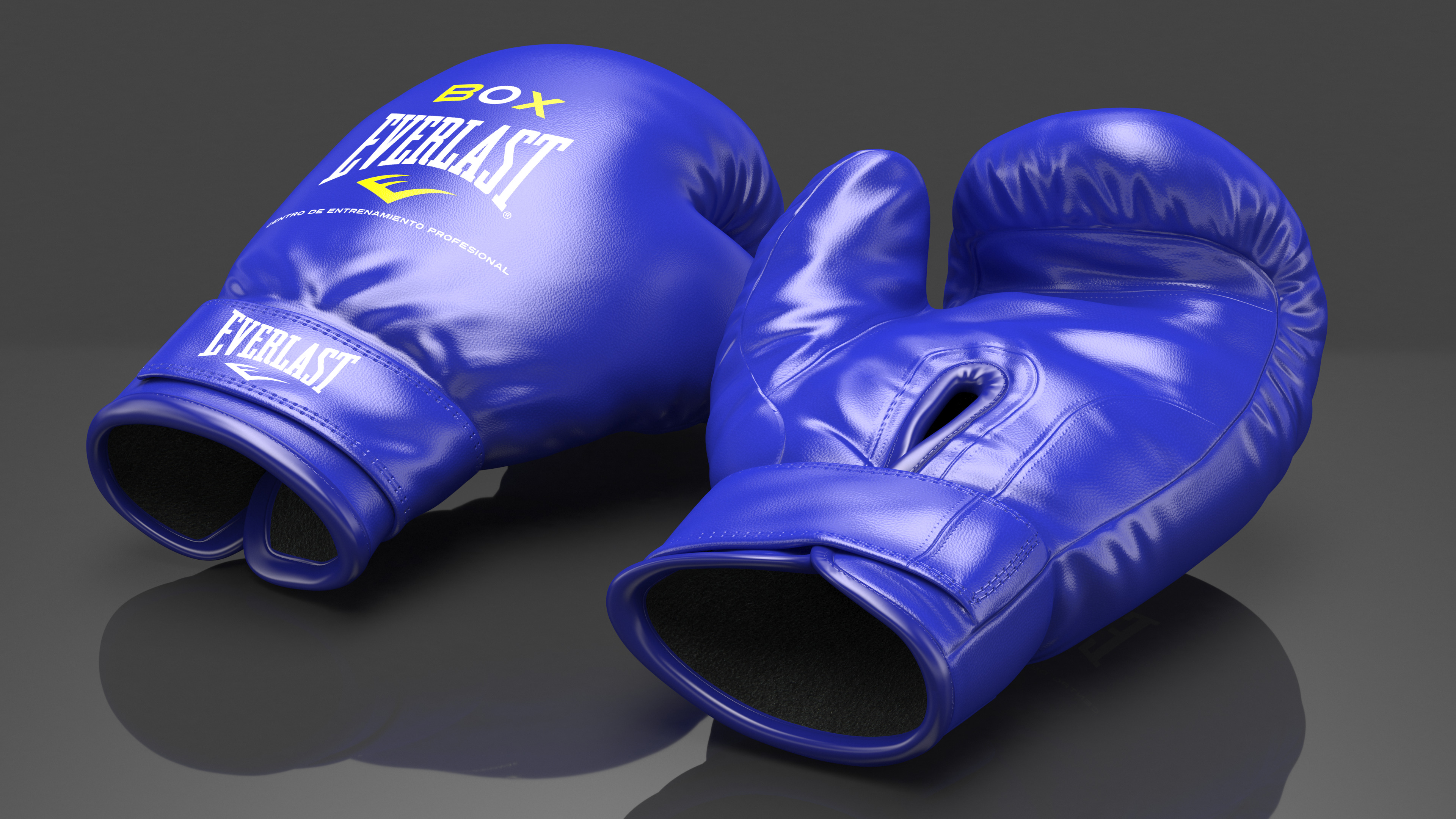 Everlast Boxing Gloves 3D