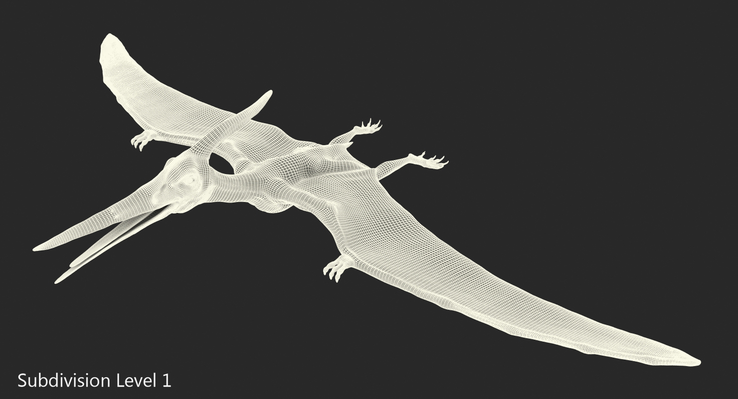 3D model Pterosaur Pteranodon White with Fur