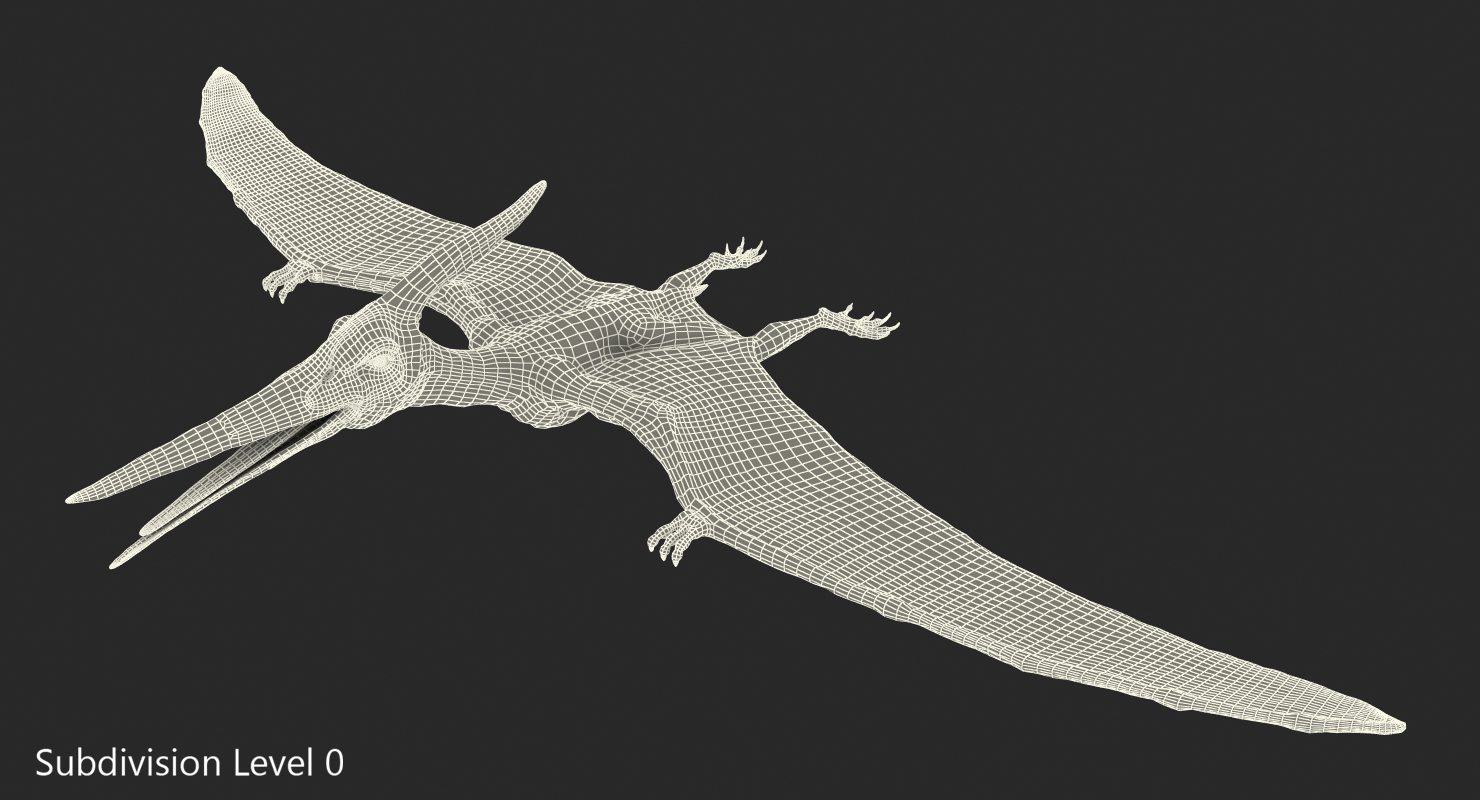 3D model Pterosaur Pteranodon White with Fur