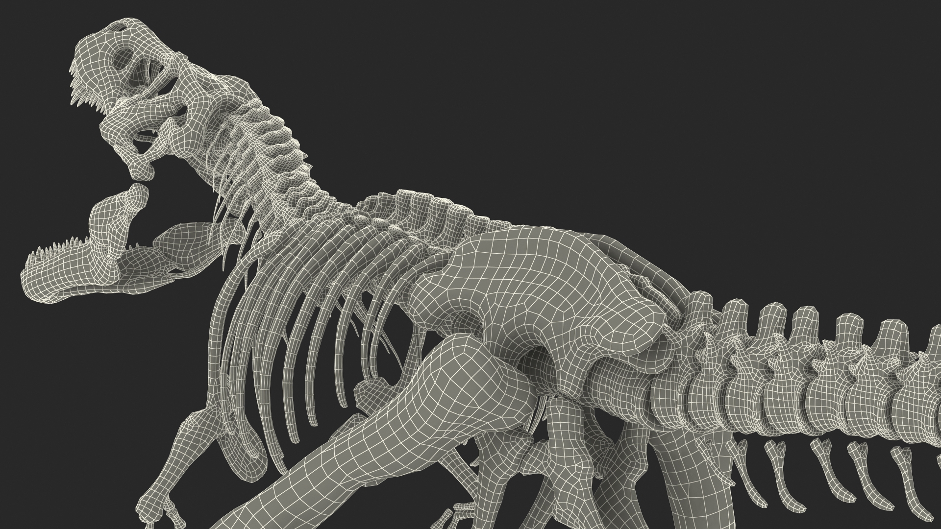 3D model Tyrannosaurus Rex Skeleton Standing Pose