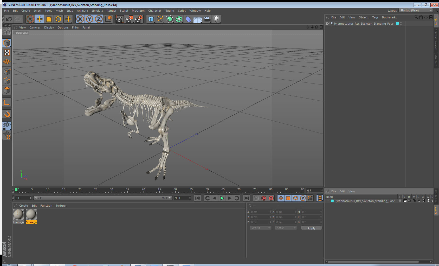 3D model Tyrannosaurus Rex Skeleton Standing Pose