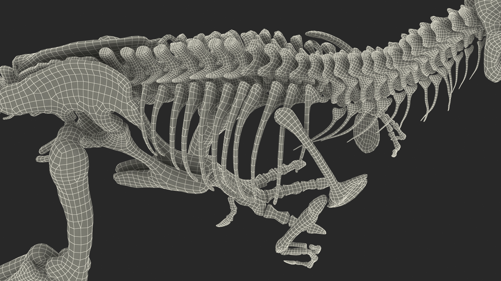 3D model Tyrannosaurus Rex Skeleton Standing Pose