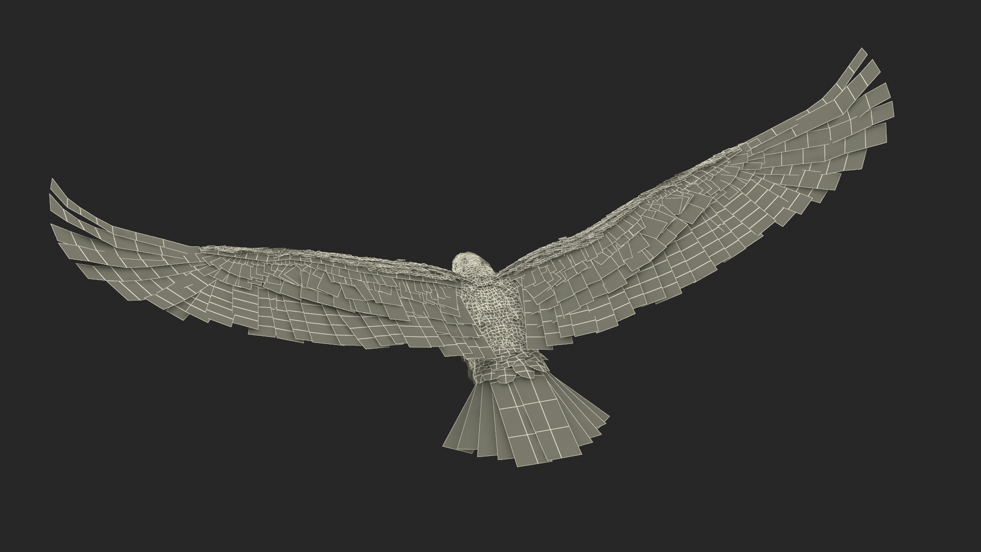 Flying Golden Eagle 3D model