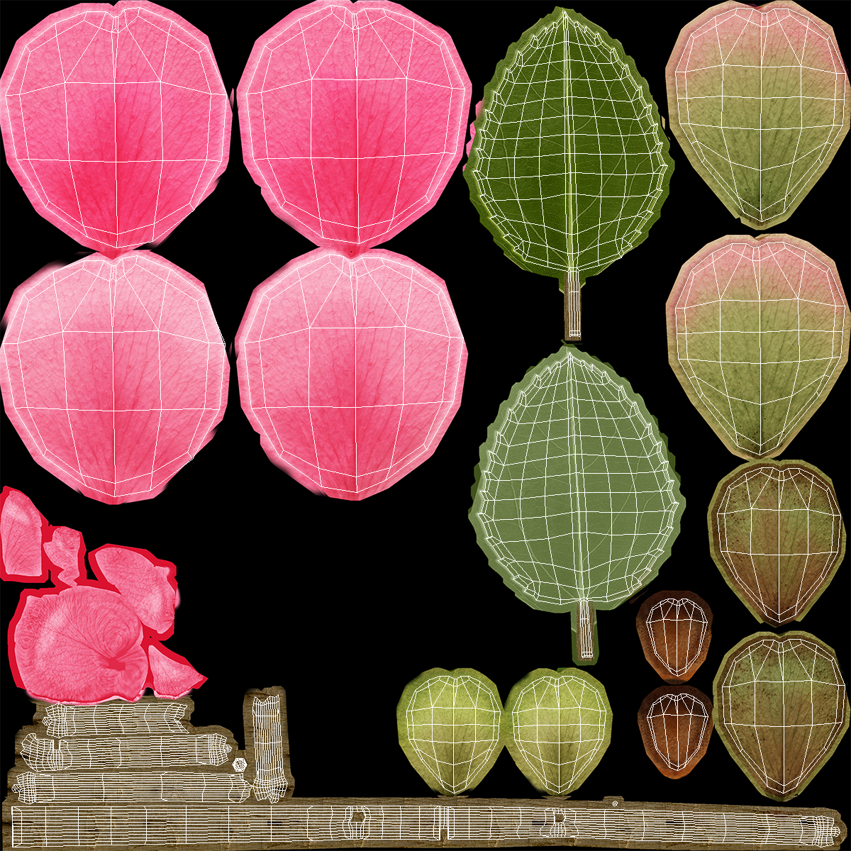 3D Camellia Pink model