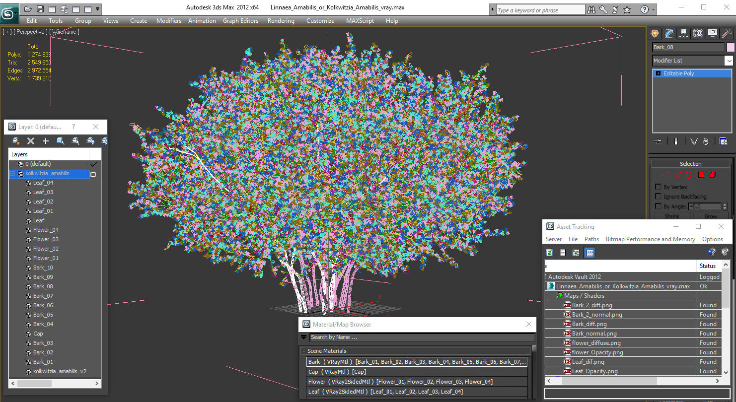 Linnaea Amabilis or Kolkwitzia Amabilis 3D model