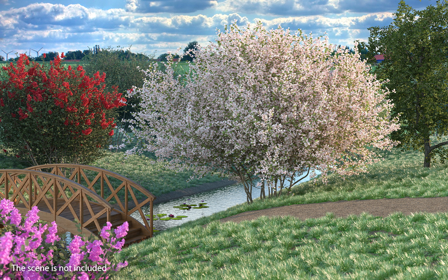 Linnaea Amabilis or Kolkwitzia Amabilis 3D model