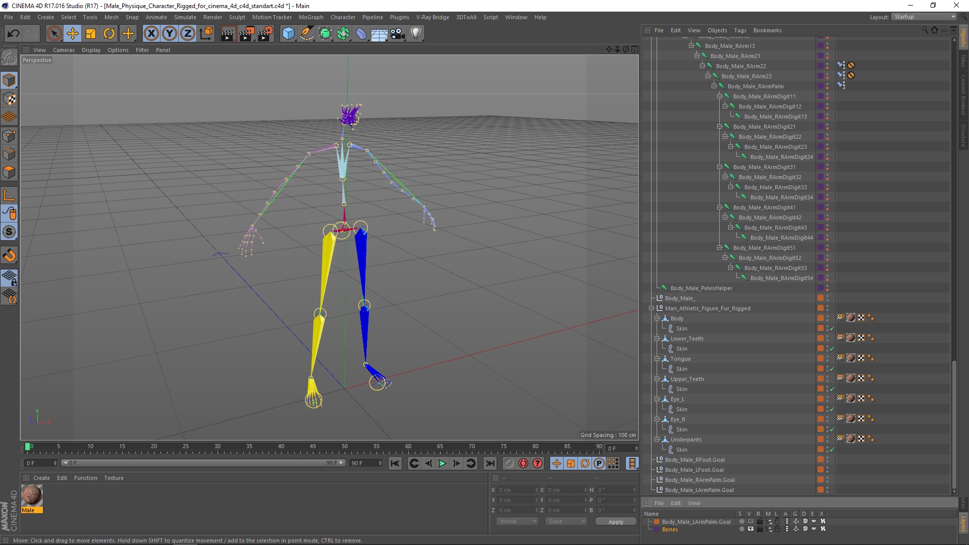 Male Physique Character Rigged for Cinema 4D 3D model