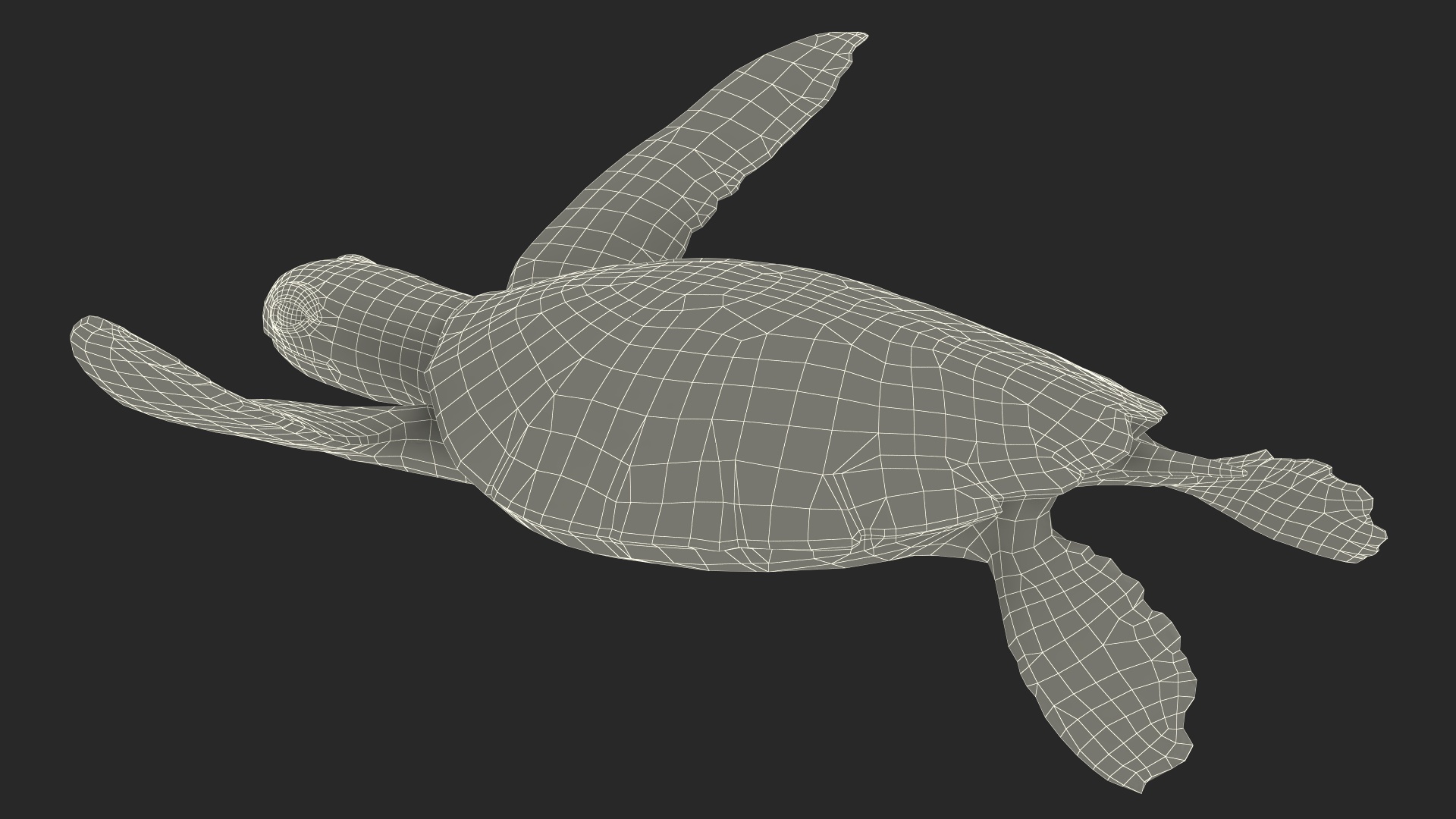 3D model Realistic Sea Turtle