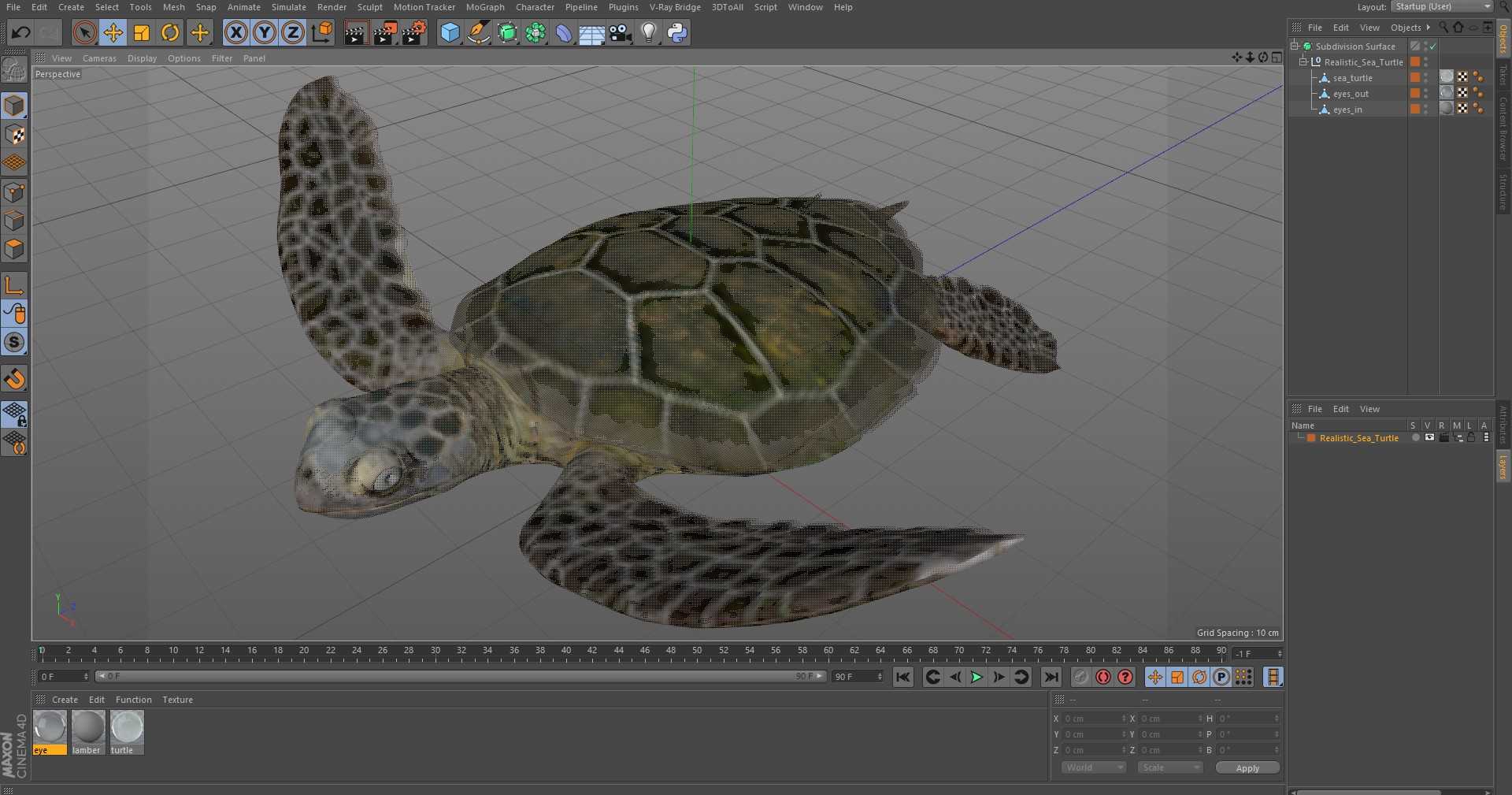 3D model Realistic Sea Turtle