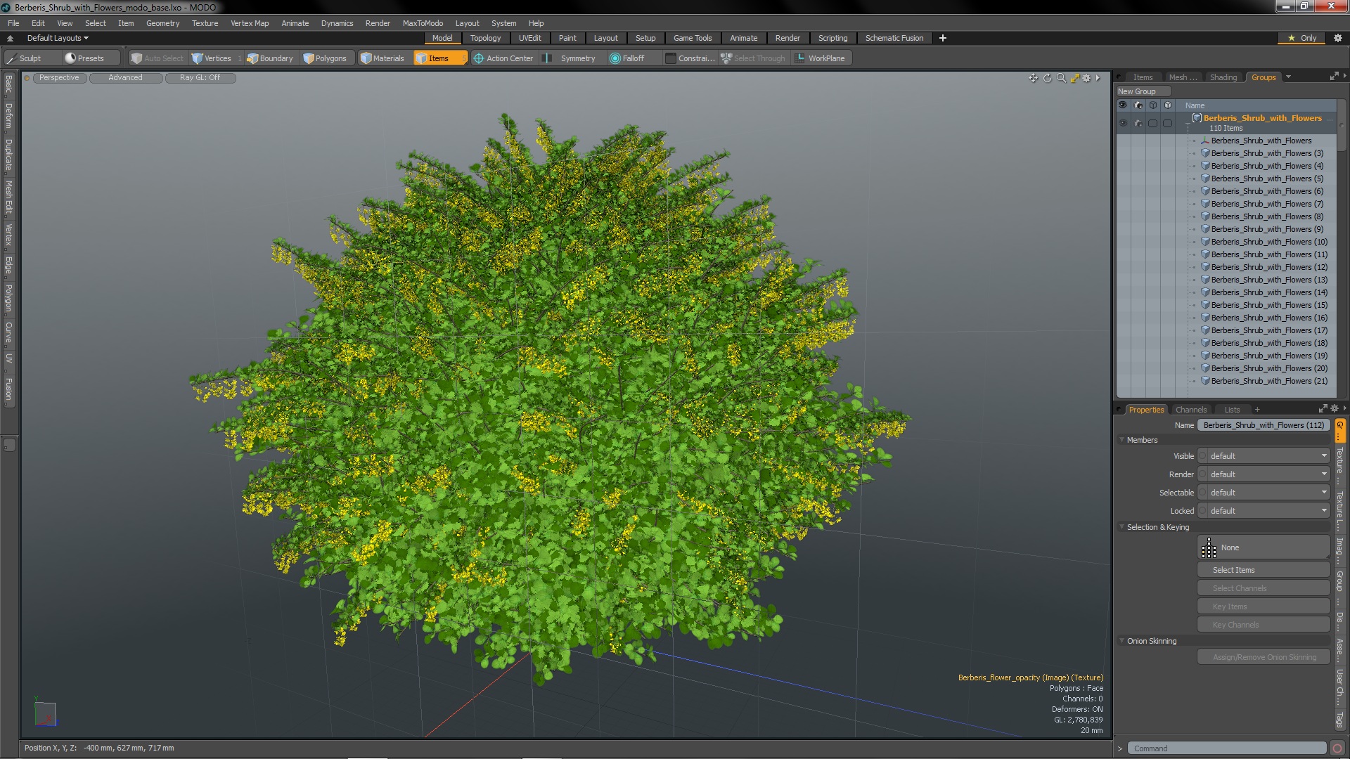 Berberis Shrub with Flowers 3D