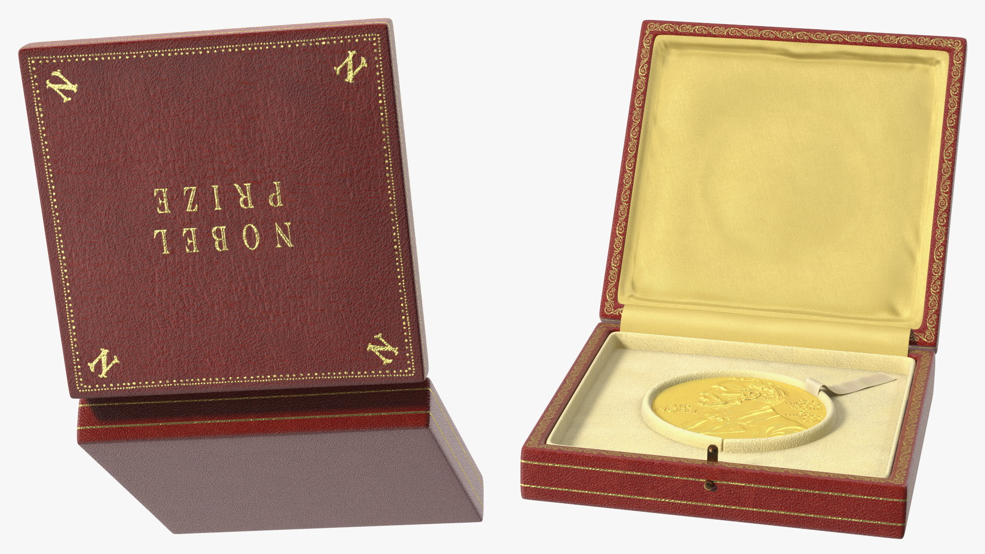 3D Nobel Prize with Box for Physics and Chemistry