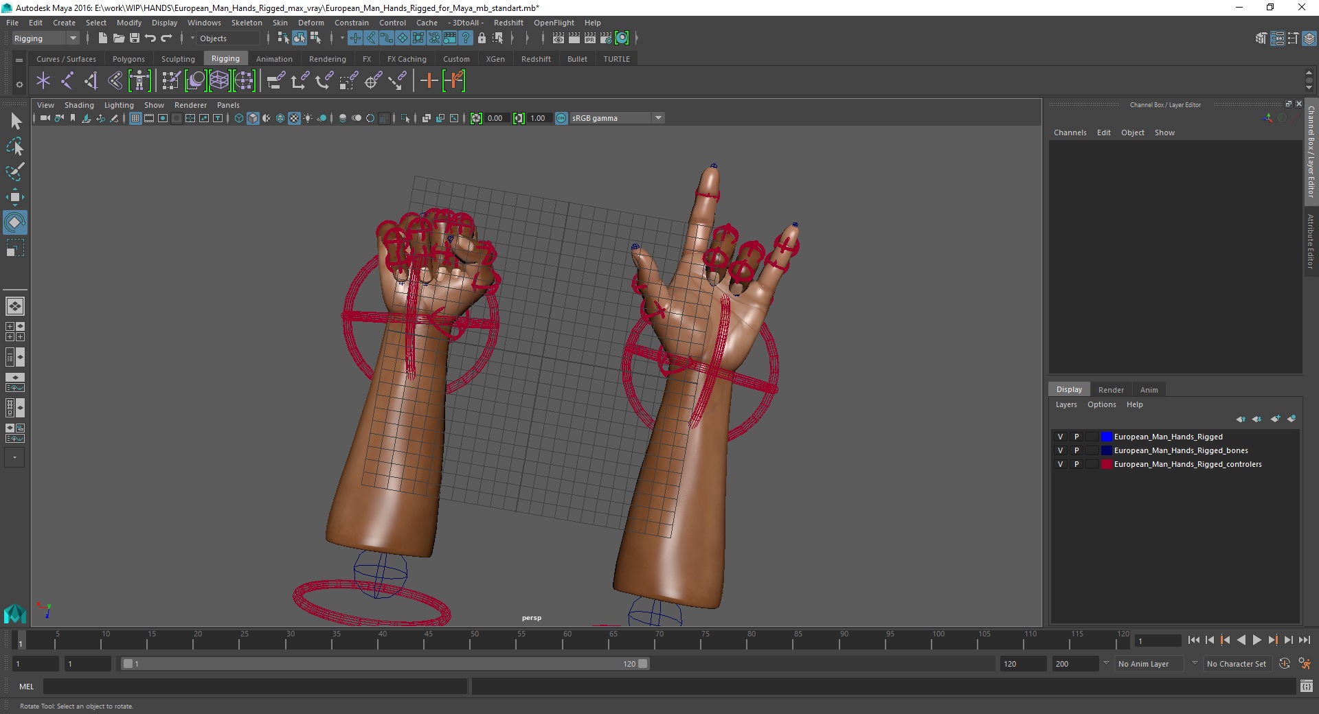 European Man Hands Rigged for Maya 3D model