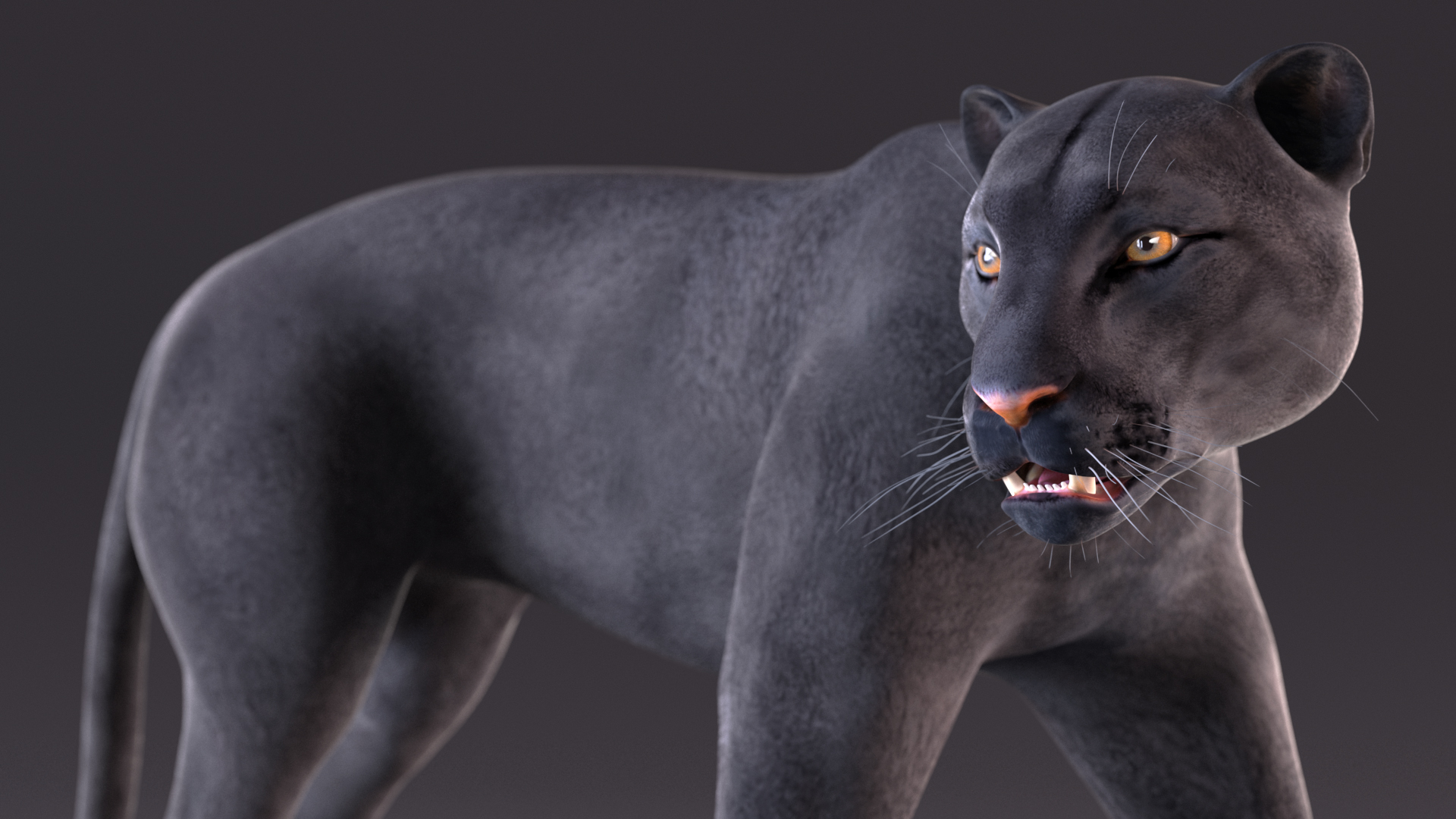 3D Black Panther Walking Pose