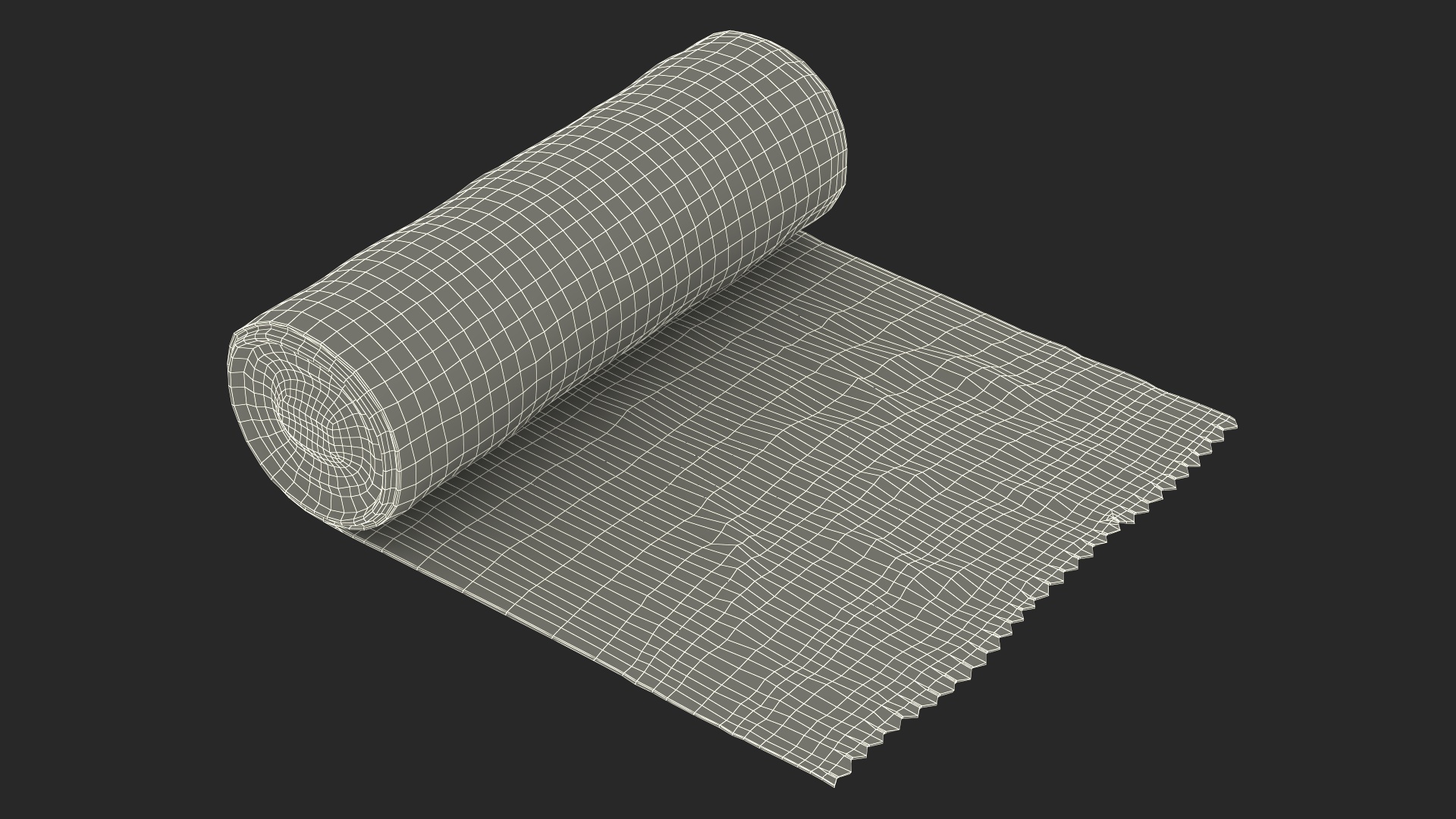 Eco Garbage Bag Unrolled 3D model