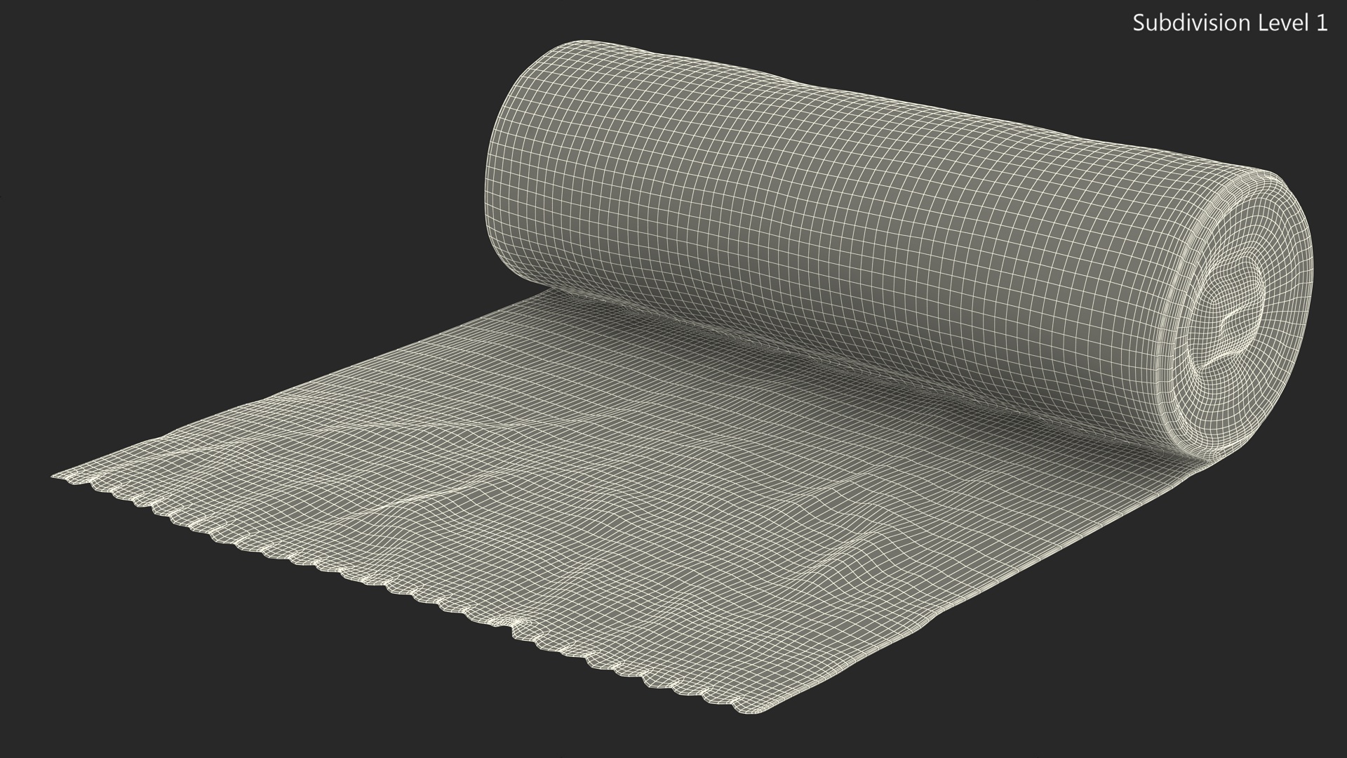 Eco Garbage Bag Unrolled 3D model