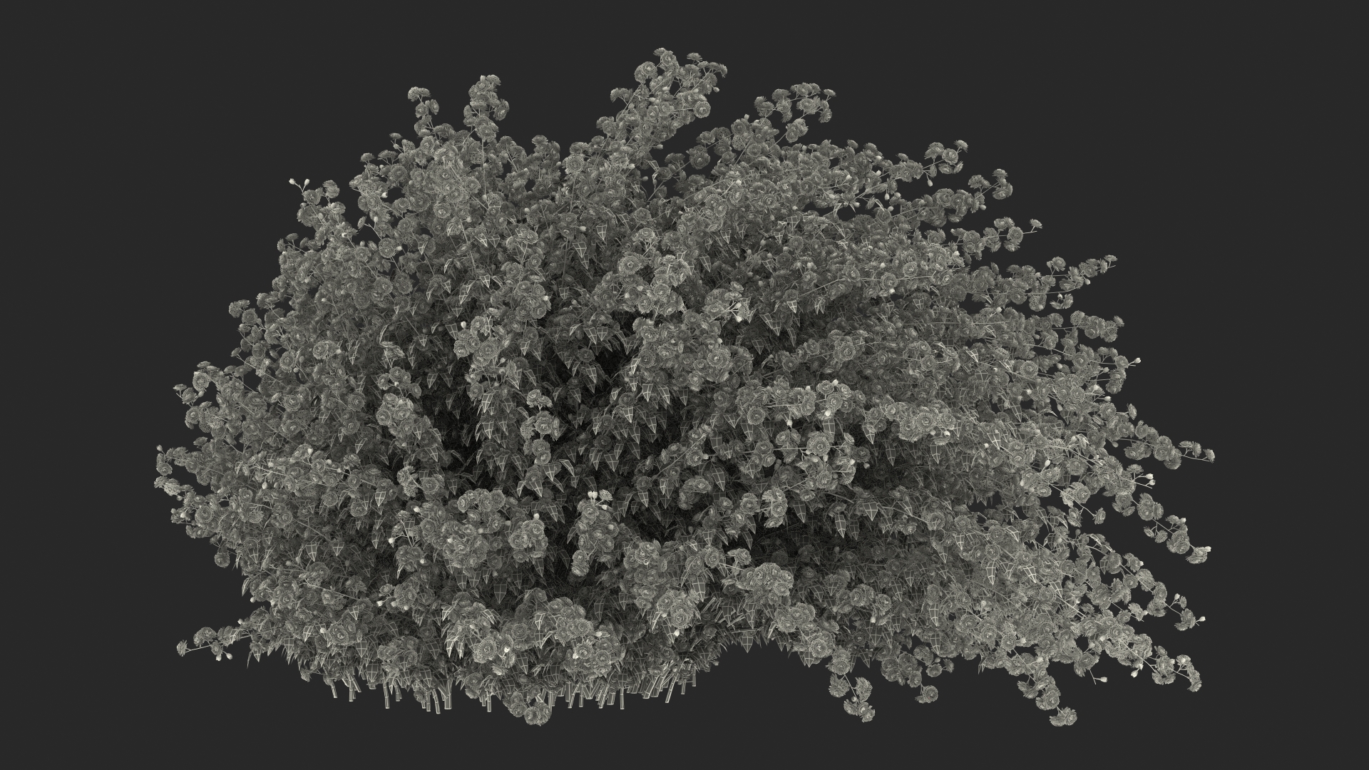 Kerria Japonica Pleniflora Plant 3D