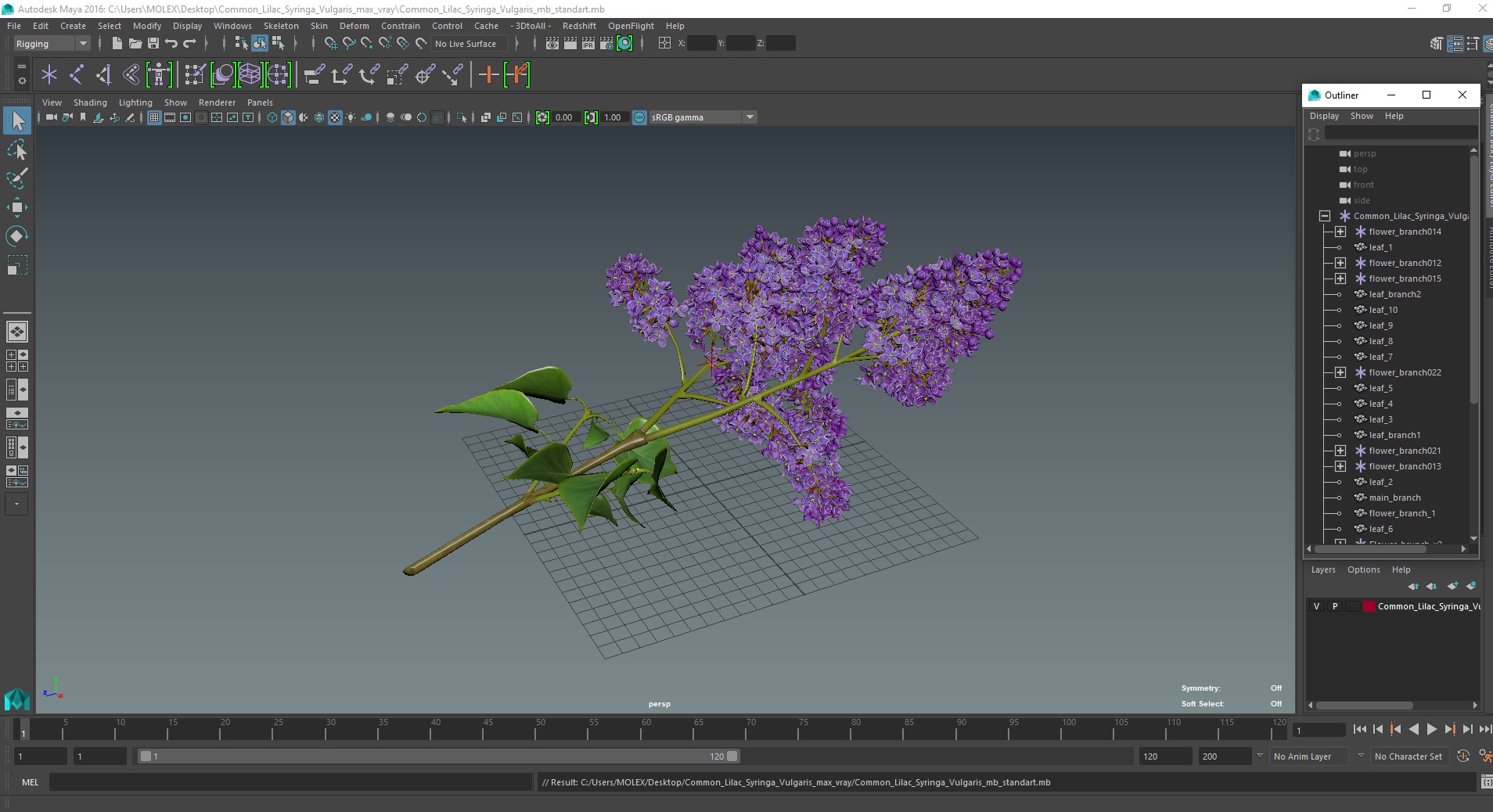 Common Lilac Syringa Vulgaris 3D model