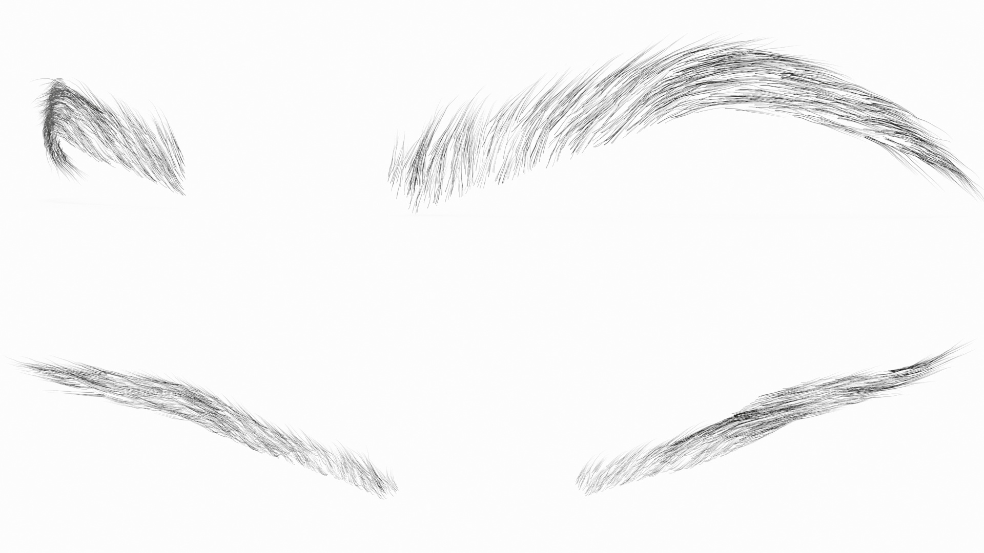 3D model Arched Eyebrows