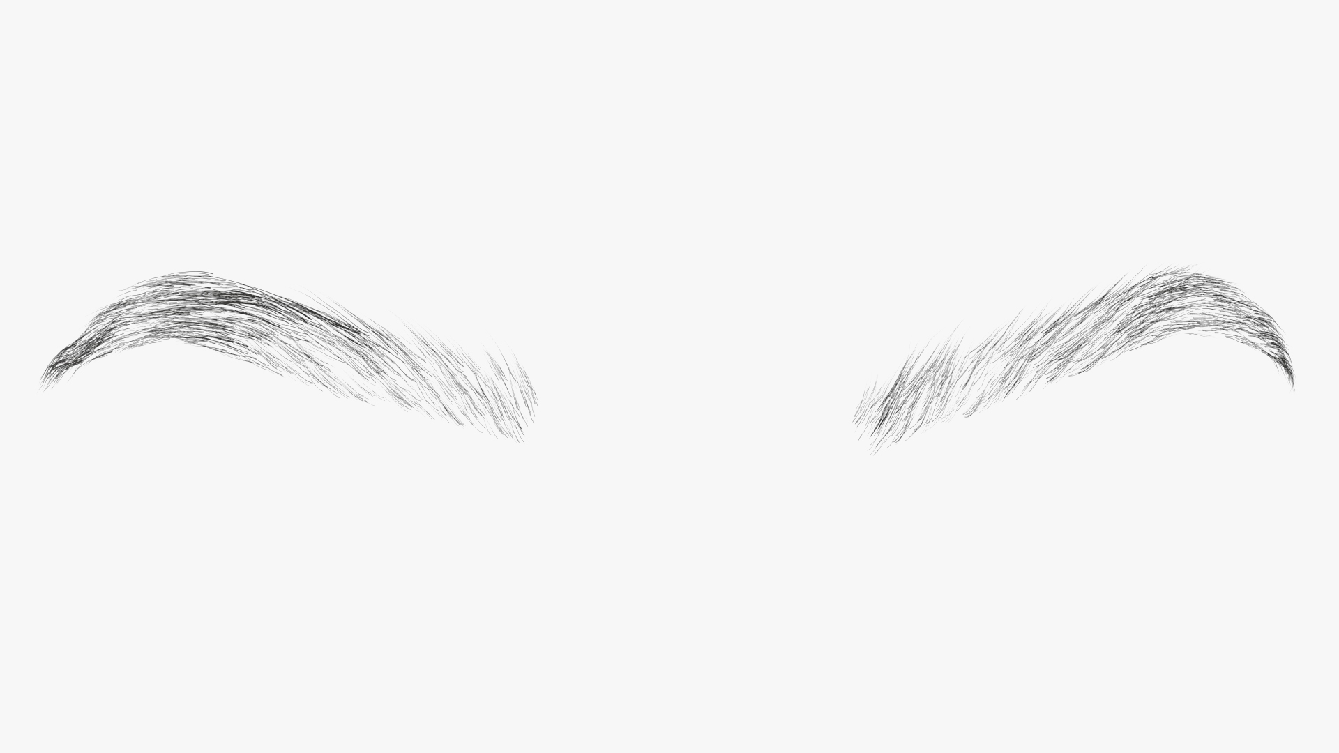 3D model Arched Eyebrows