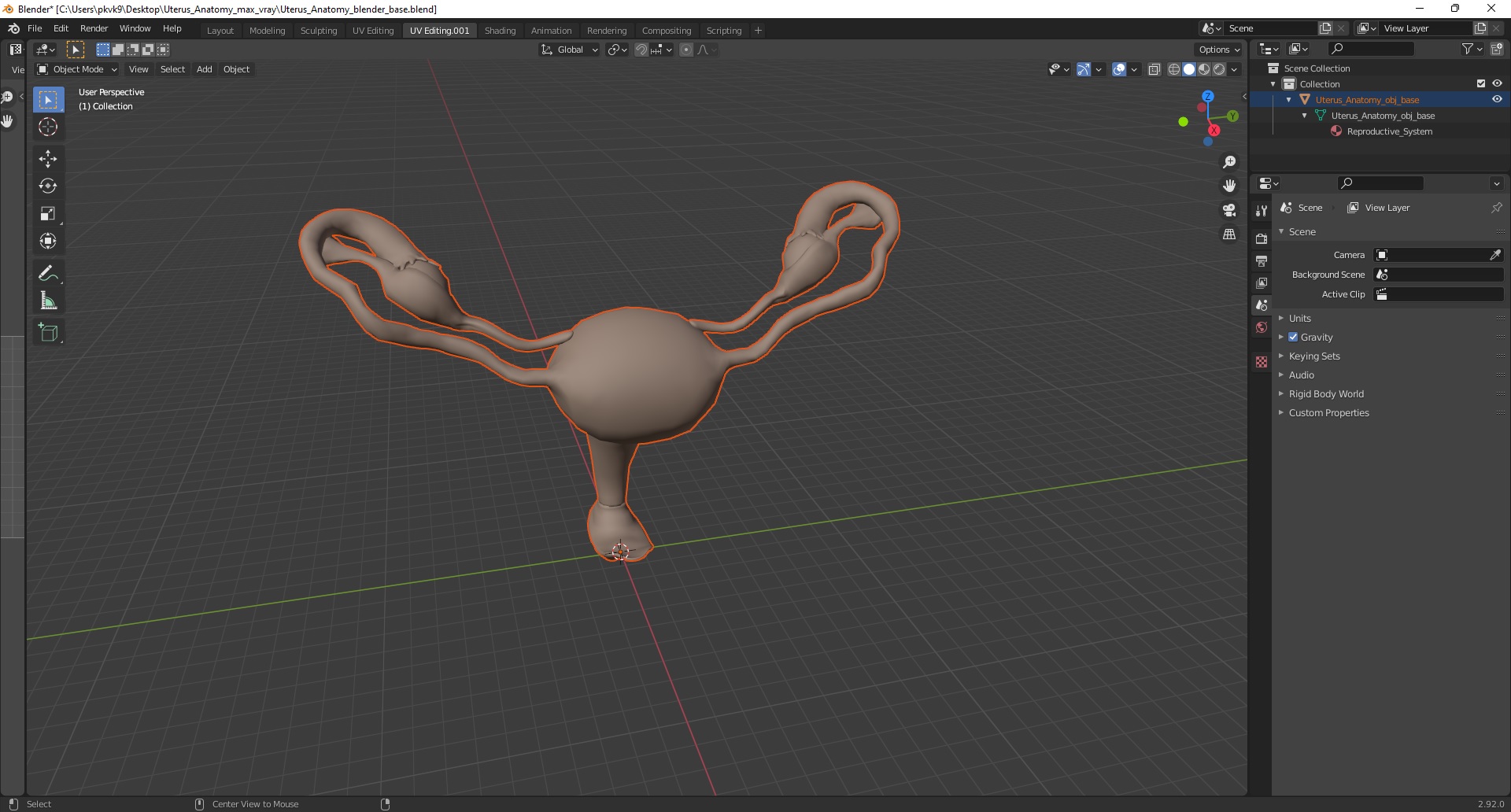 Uterus Anatomy 3D model