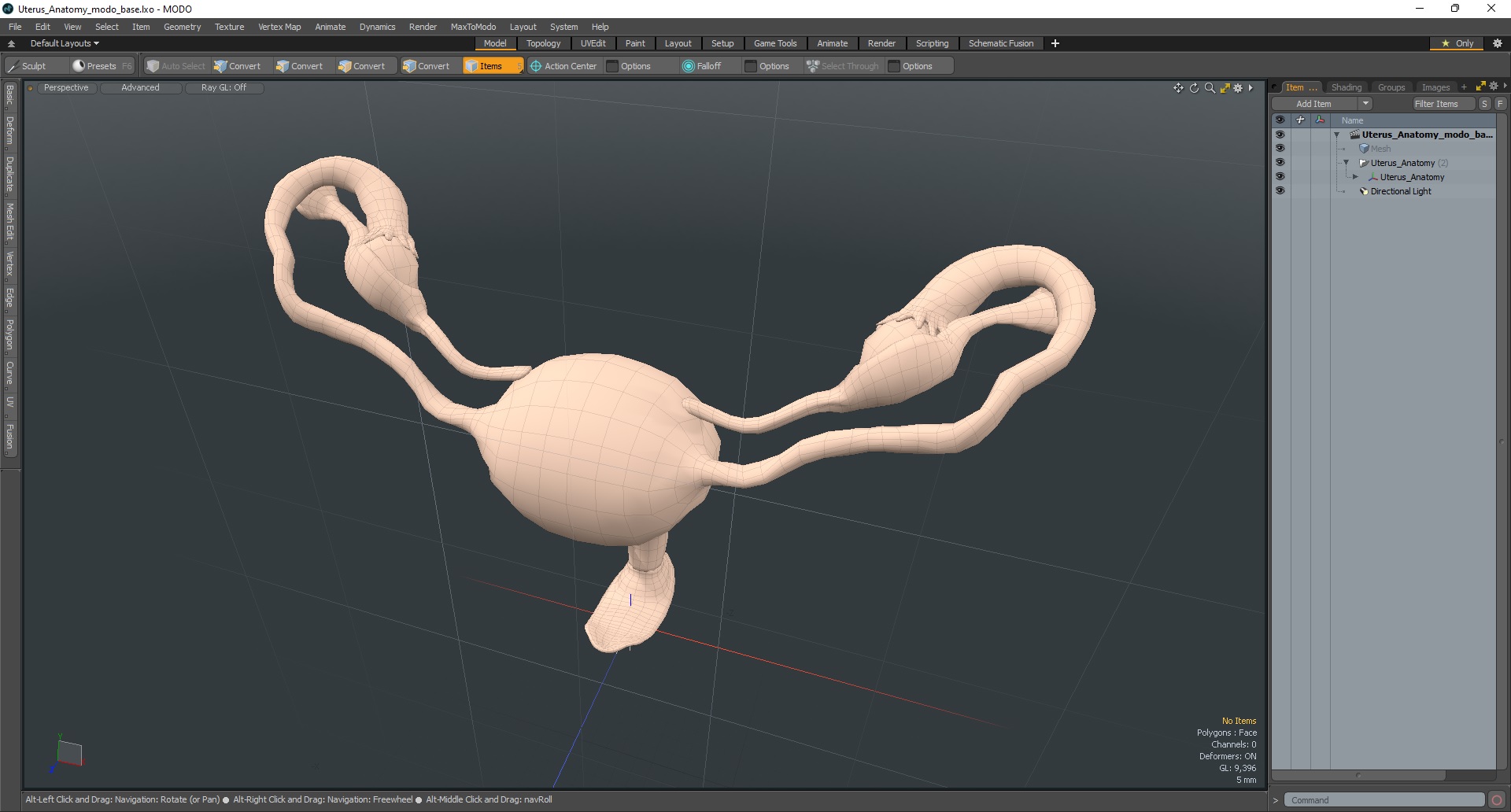 Uterus Anatomy 3D model