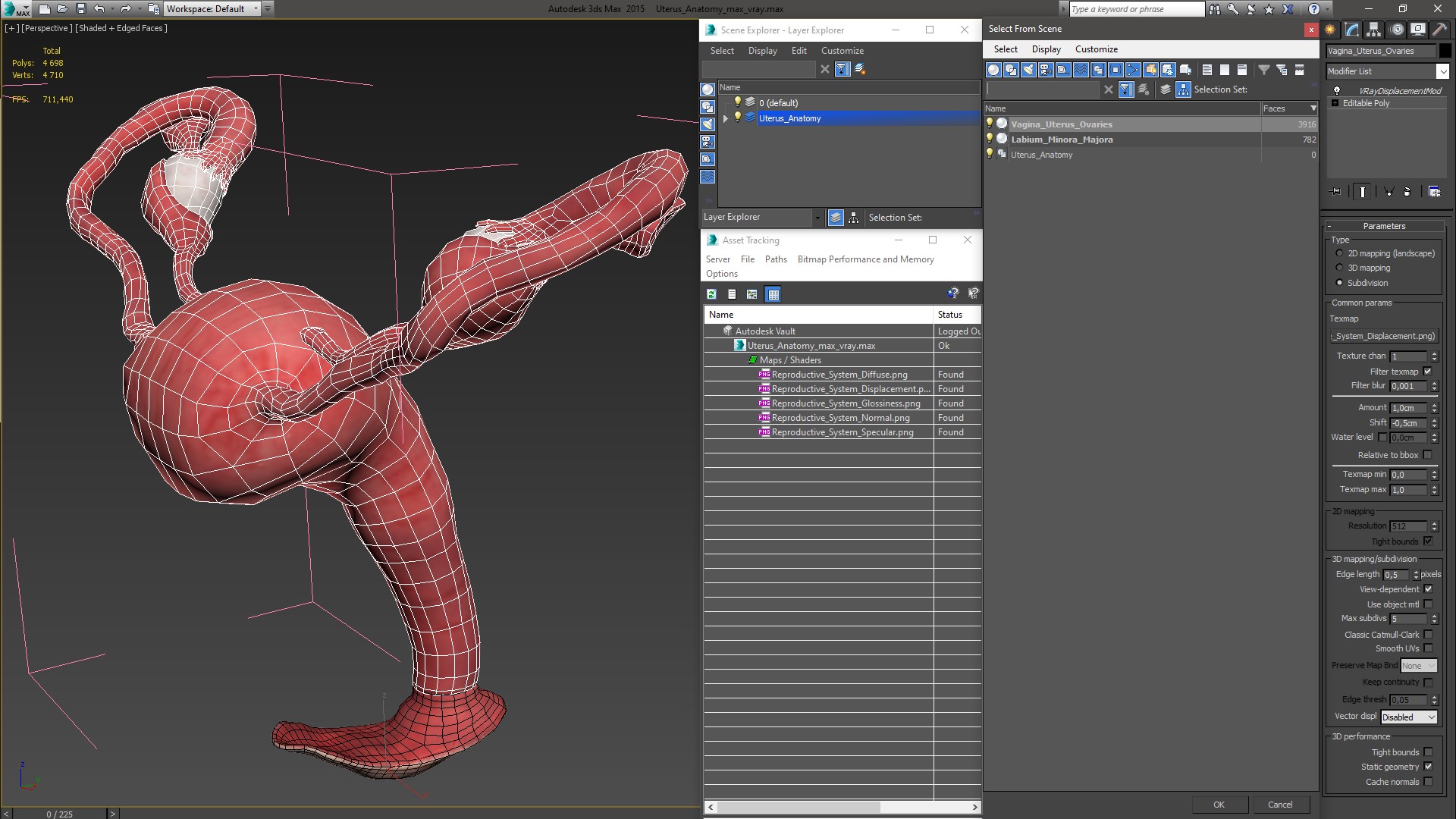 Uterus Anatomy 3D model