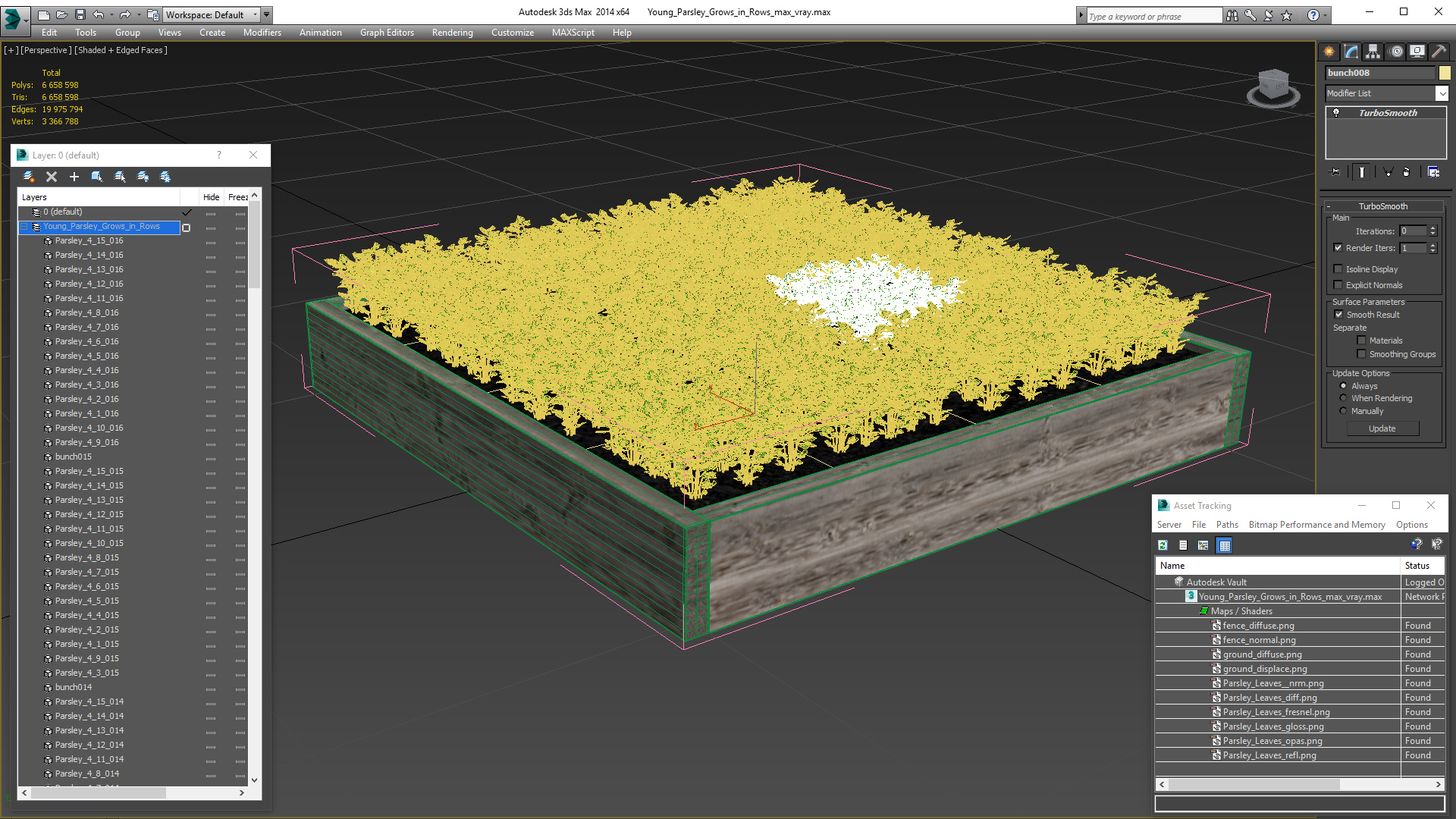 Young Parsley Grows in Rows 3D