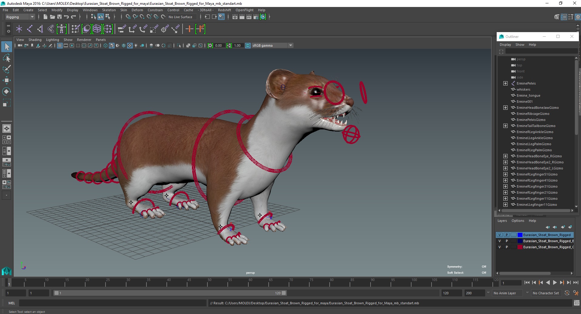 3D Eurasian Stoat Brown Rigged for Maya