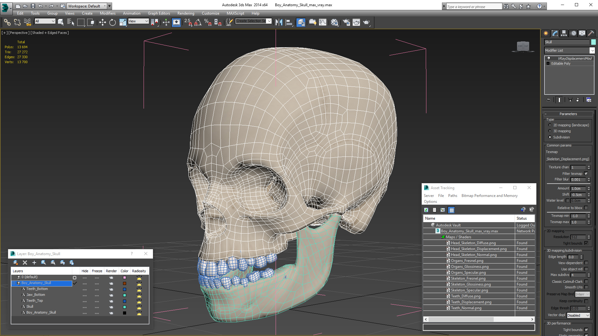 Boy Anatomy Skull 3D