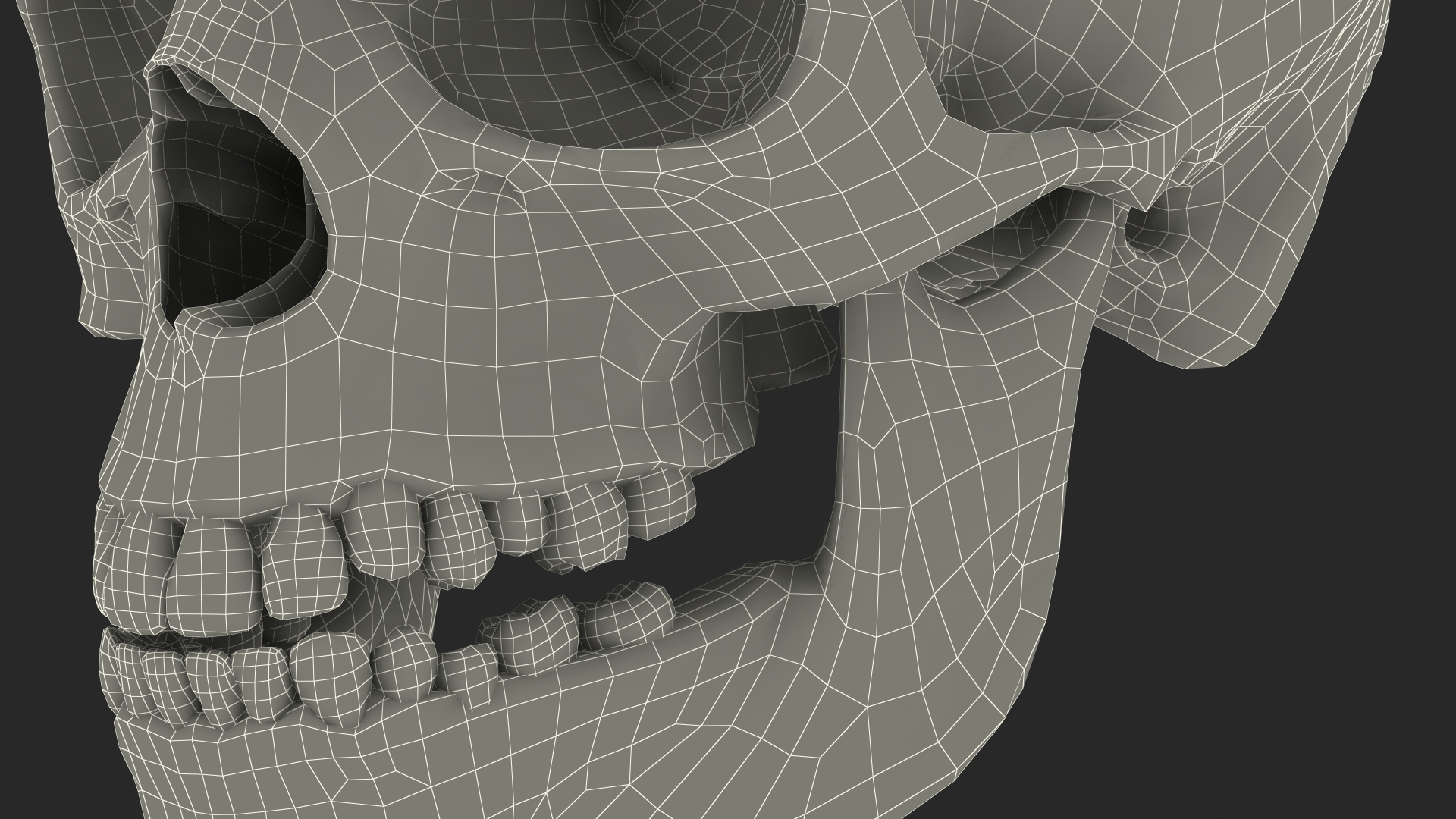 Boy Anatomy Skull 3D