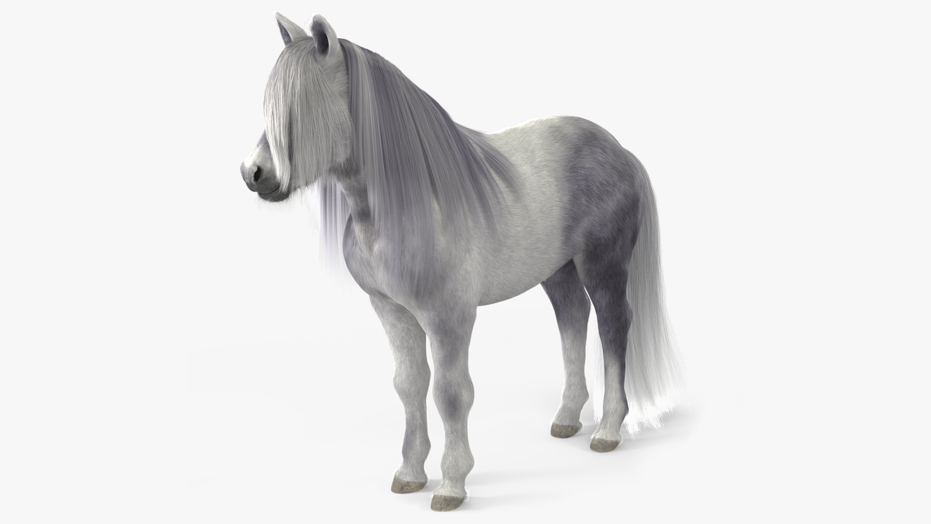 White Pony with Long Mane Fur 3D model