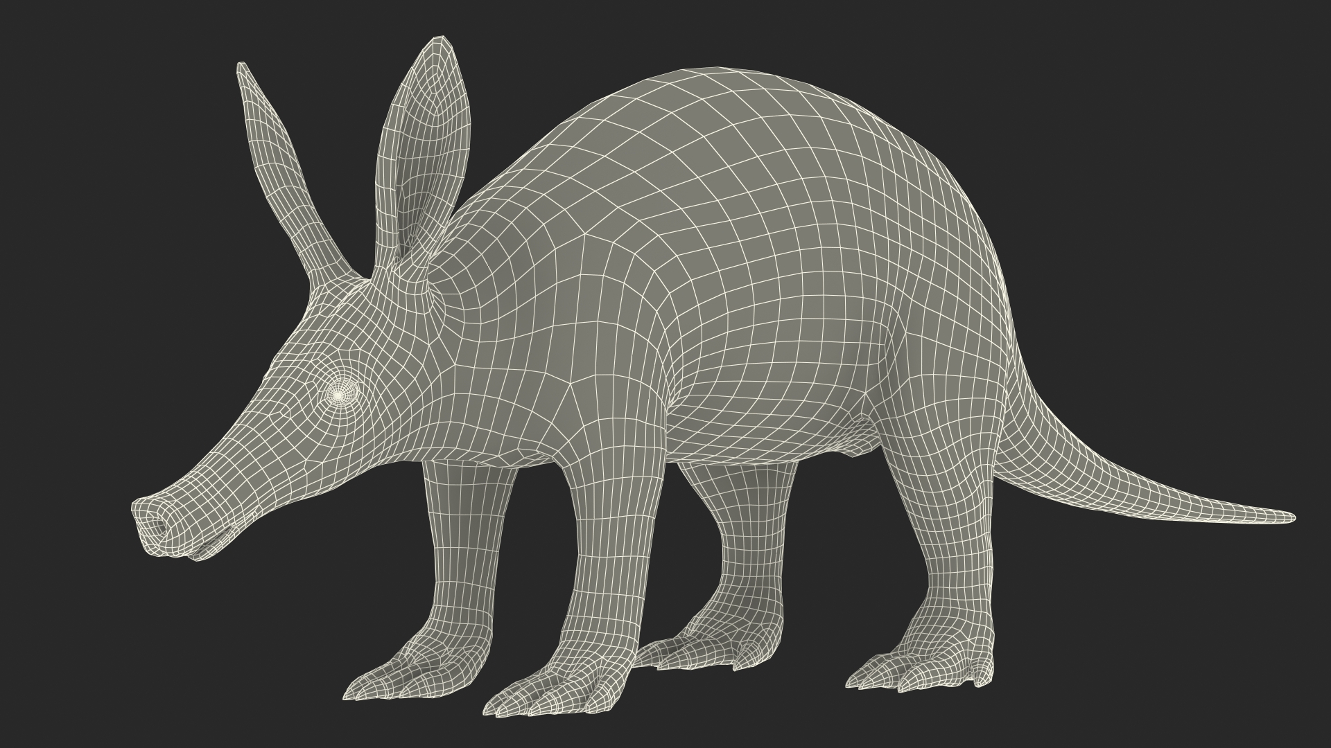 3D Orycteropus Afer Rigged model